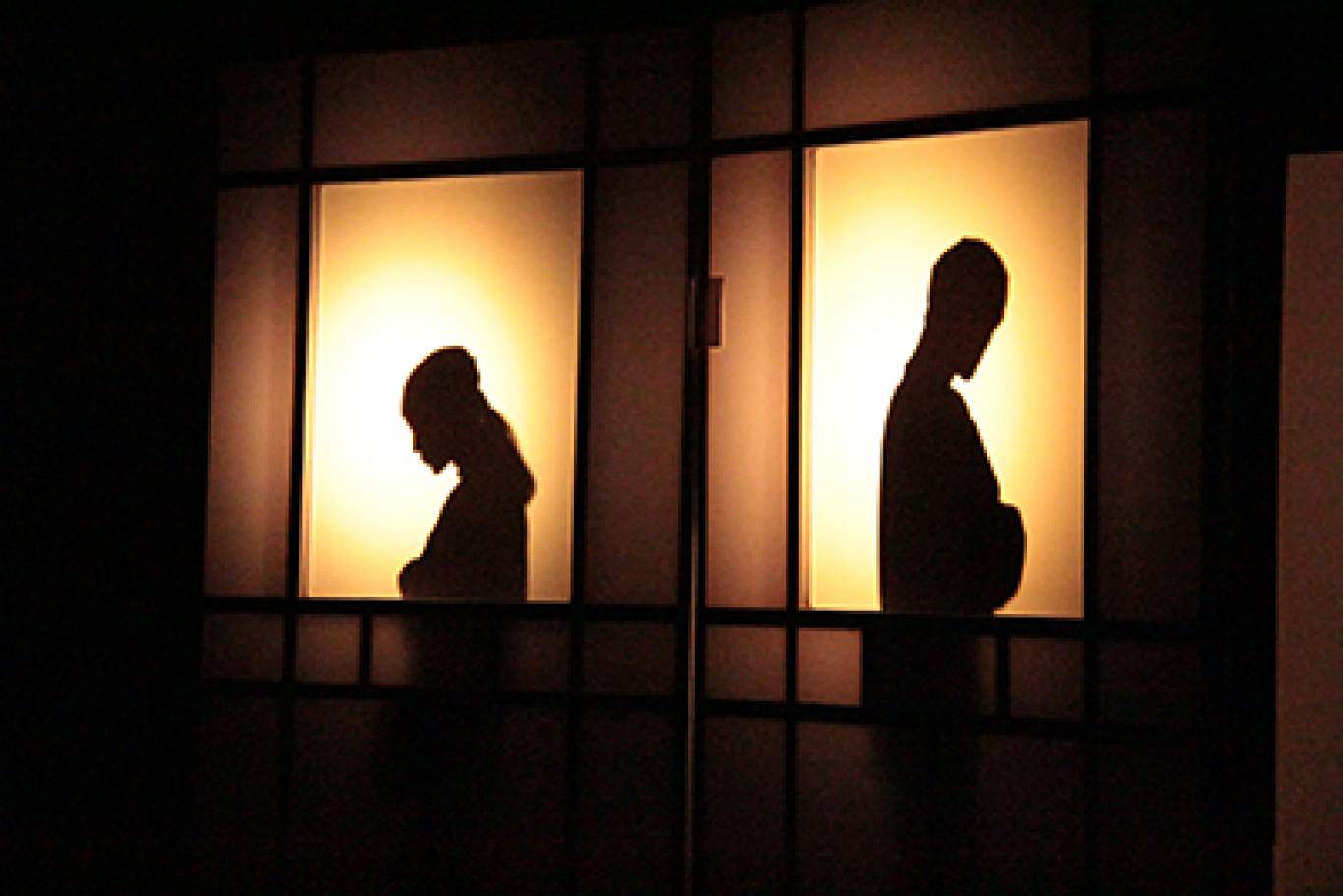 Кукольный спектакль «Оскар и розовая дама»