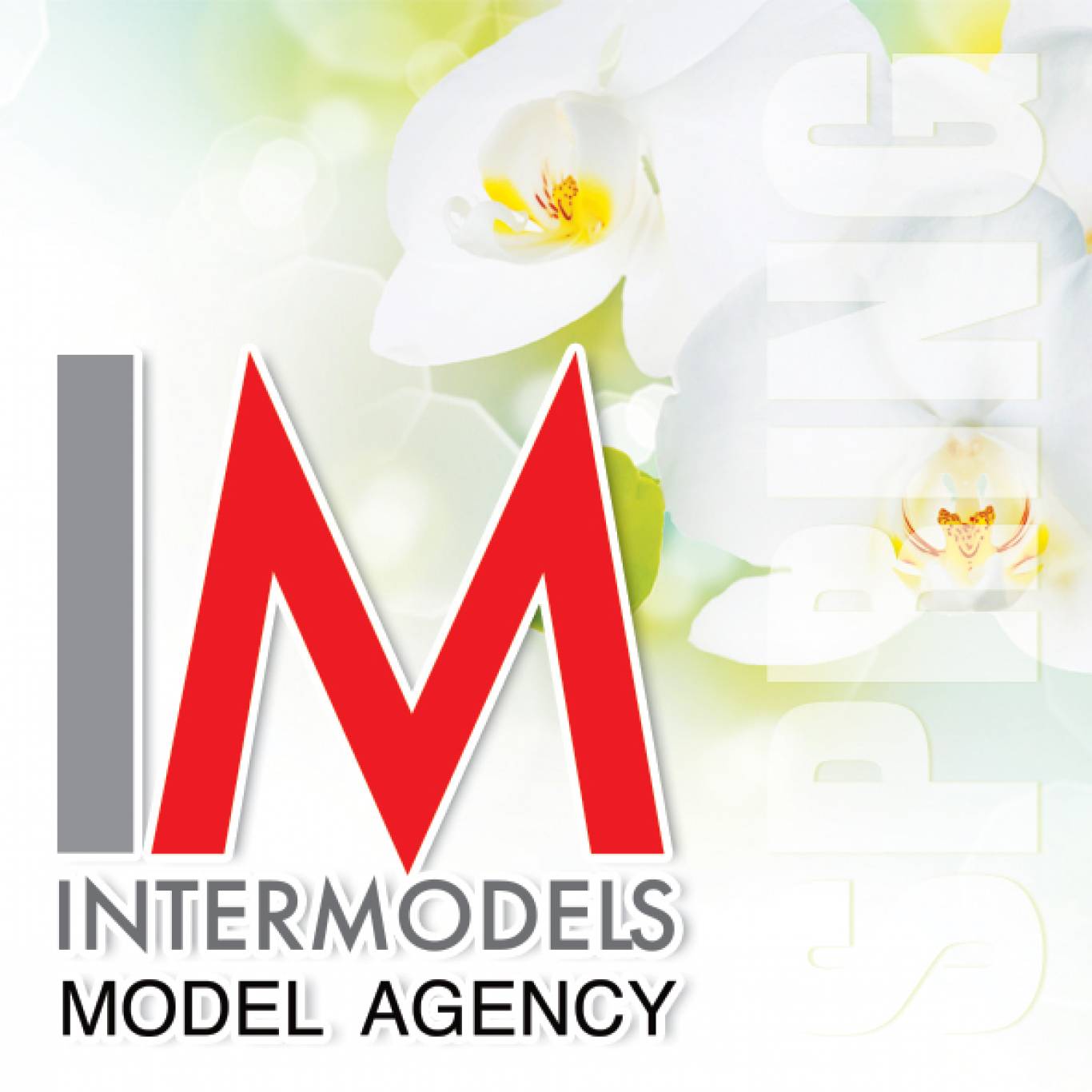 Відкритий кастинг в Агенції моделей