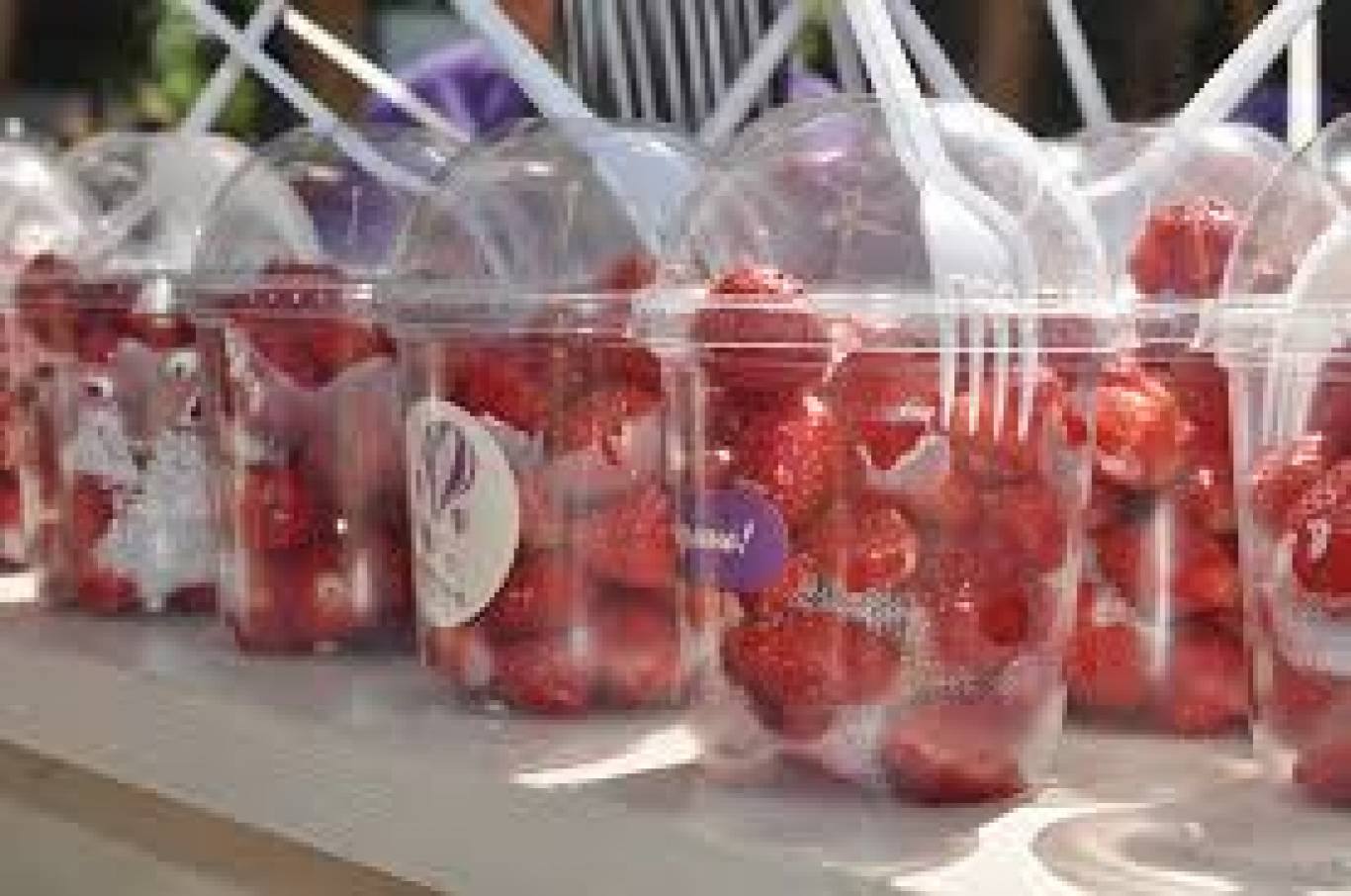 Фестиваль вуличної їжі