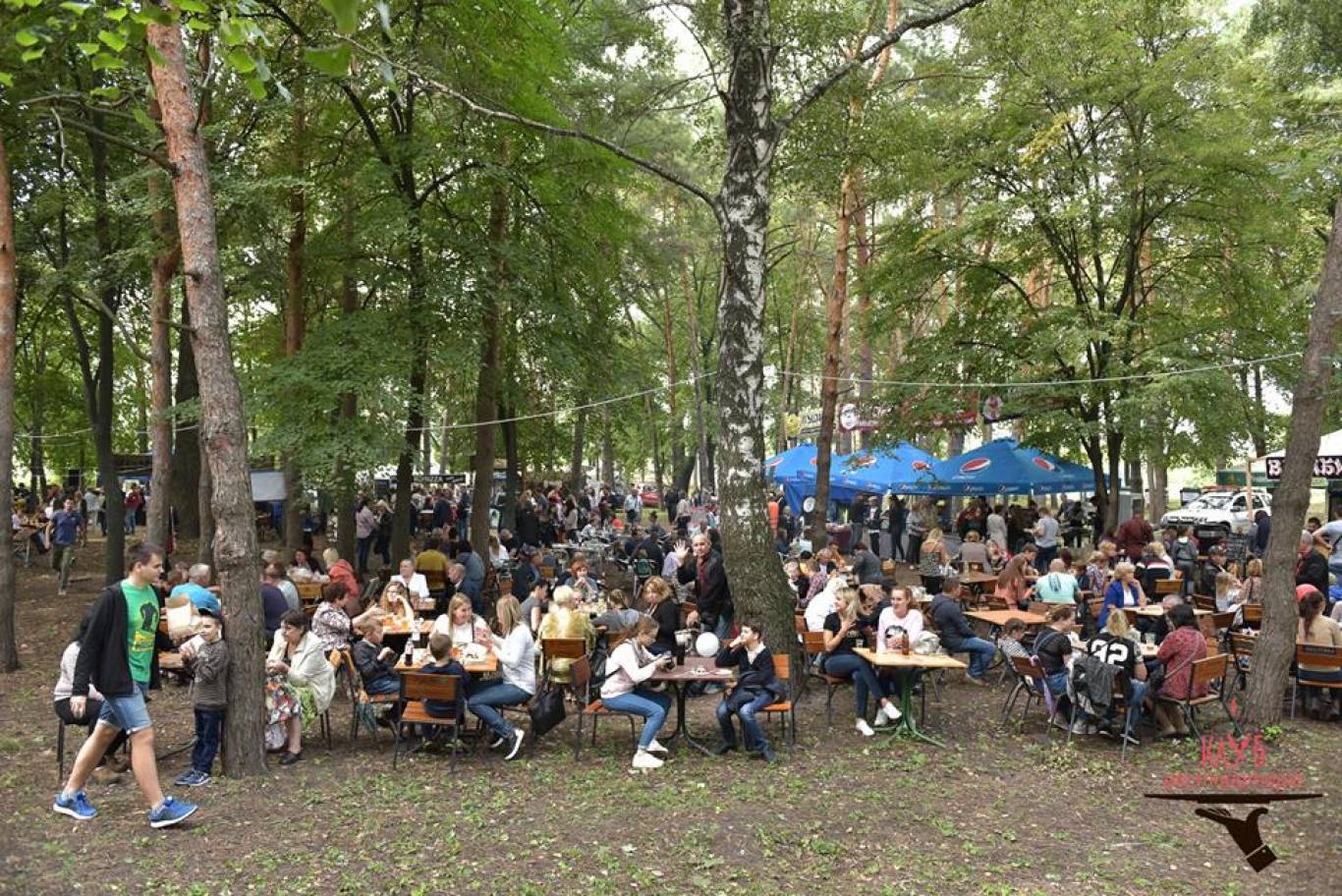 Фестиваль вуличної їжі