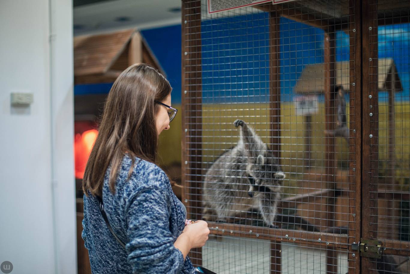 Виставка пухнастиків та африканських равликів. Розіграш квитків