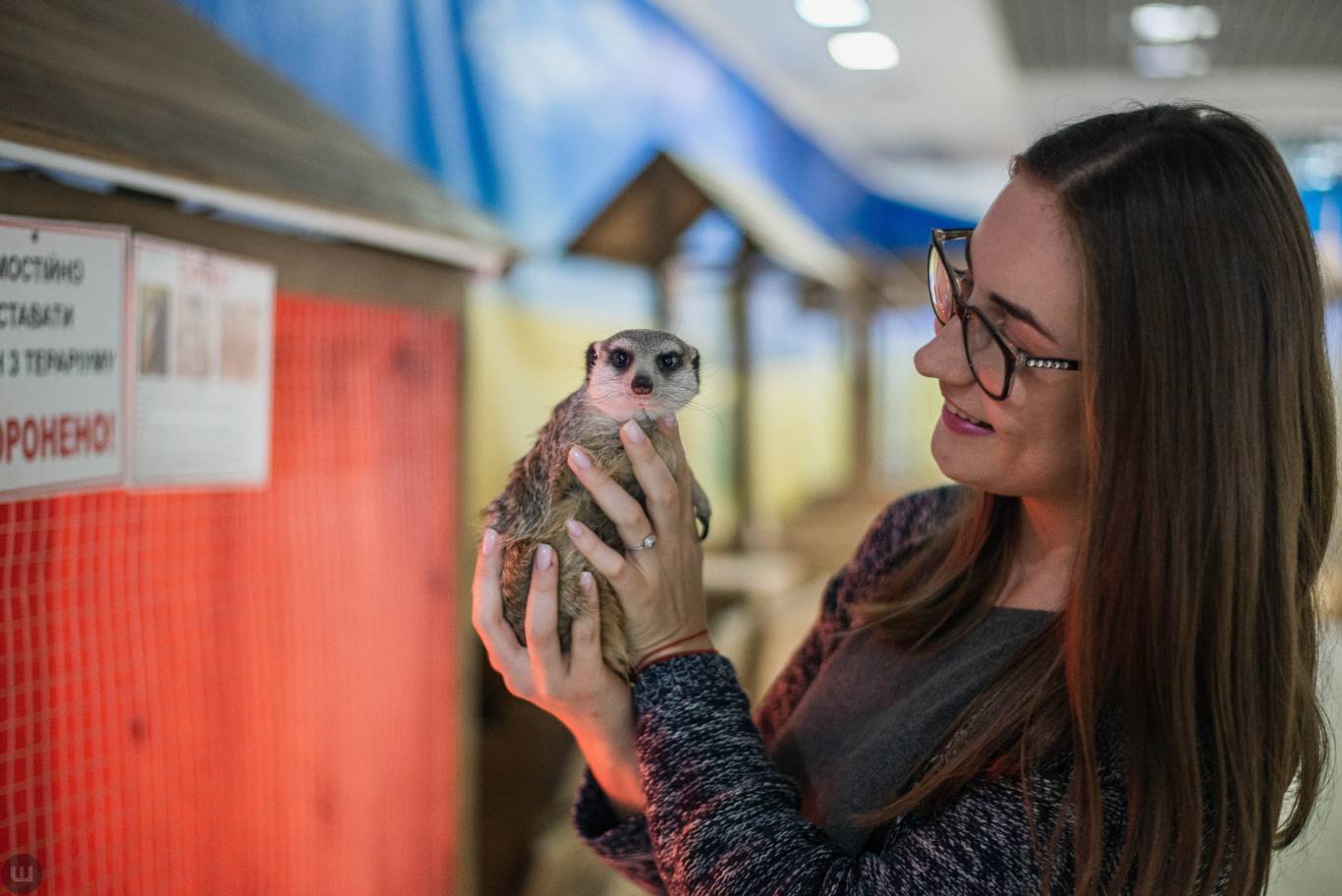 Виставка пухнастиків та африканських равликів. Розіграш квитків