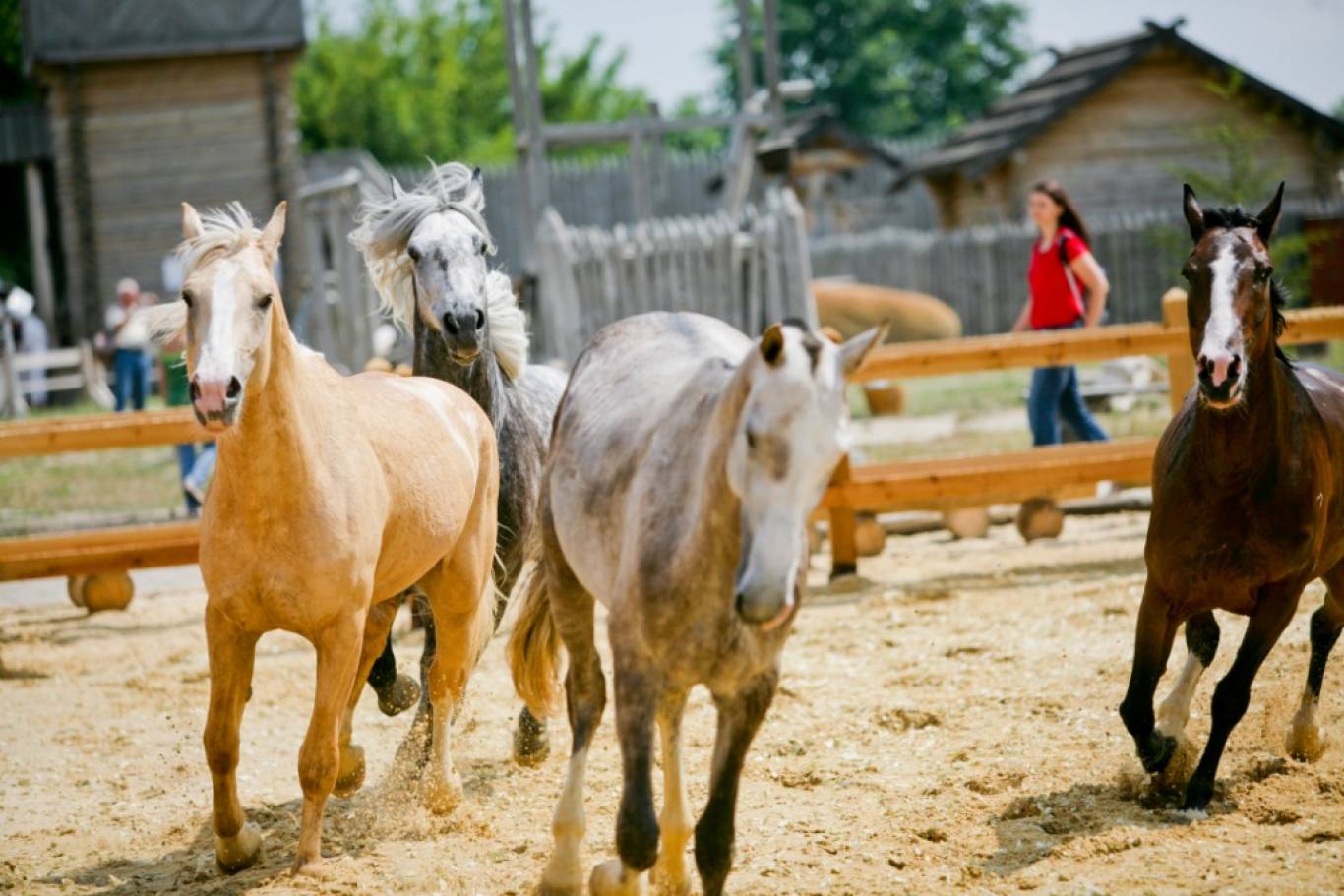Heady wind - Монофестиваль у Парку Київська Русь