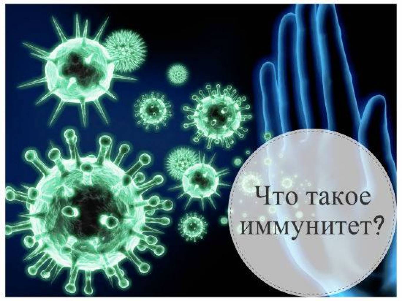 Лекція на тему: «Імунна система»
