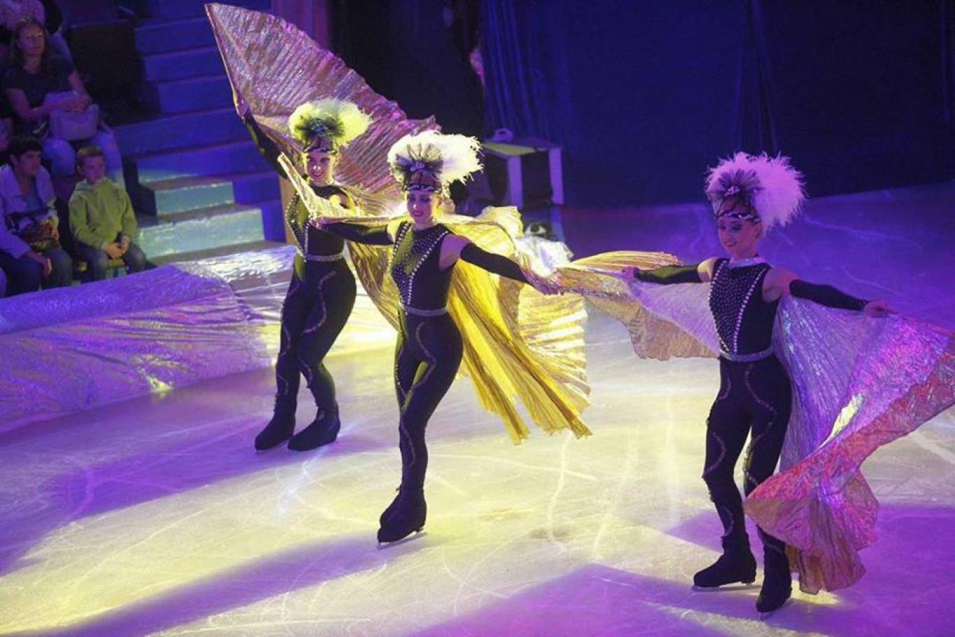 Цирк на льду «Ледовое королевство»