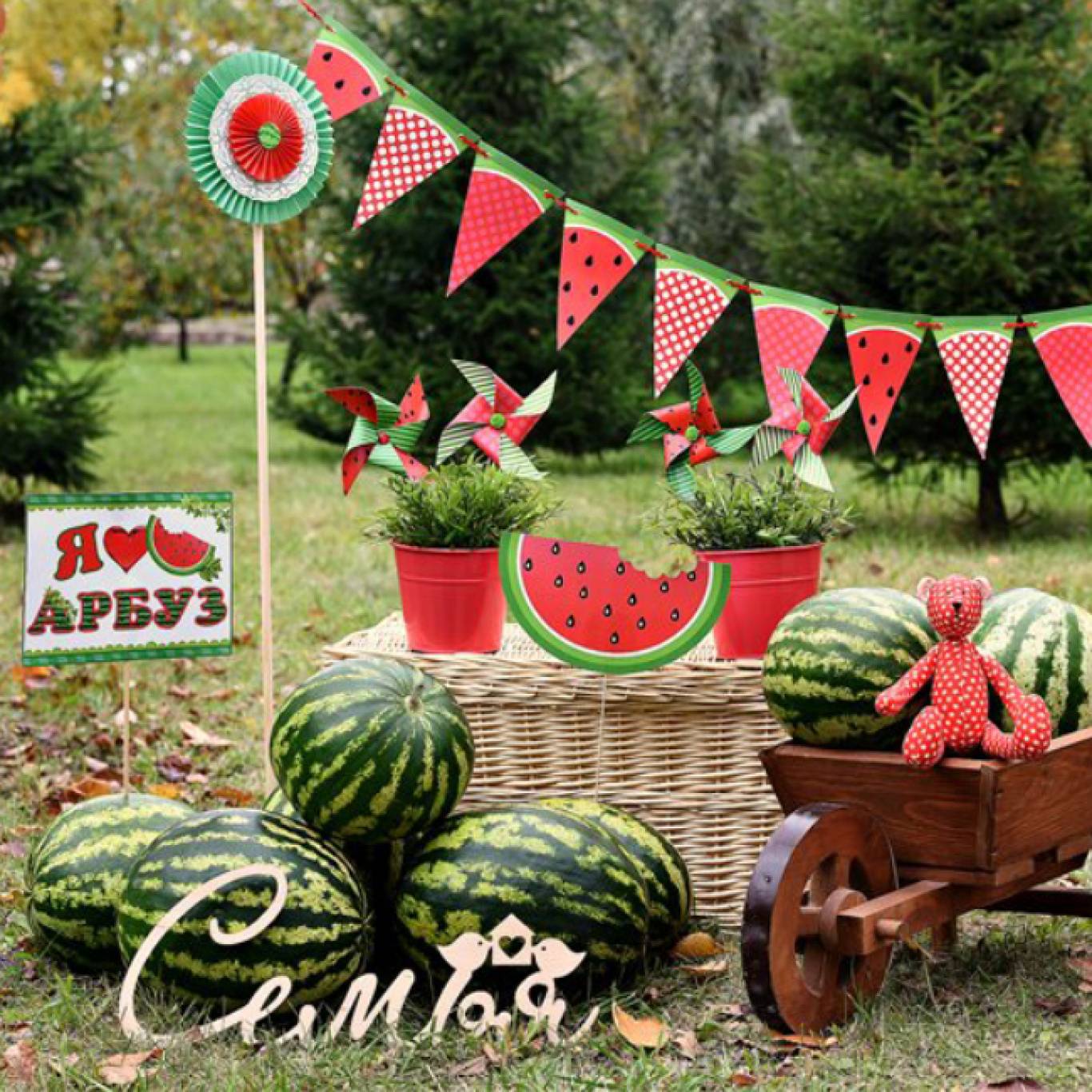 Арбузная фотосессия в Виннице