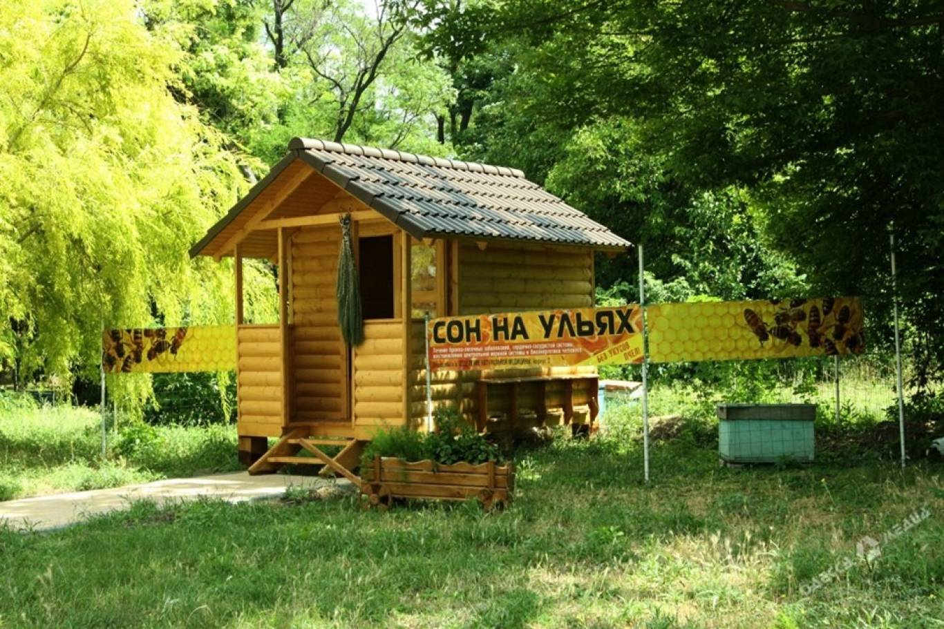 Сон на вуликах