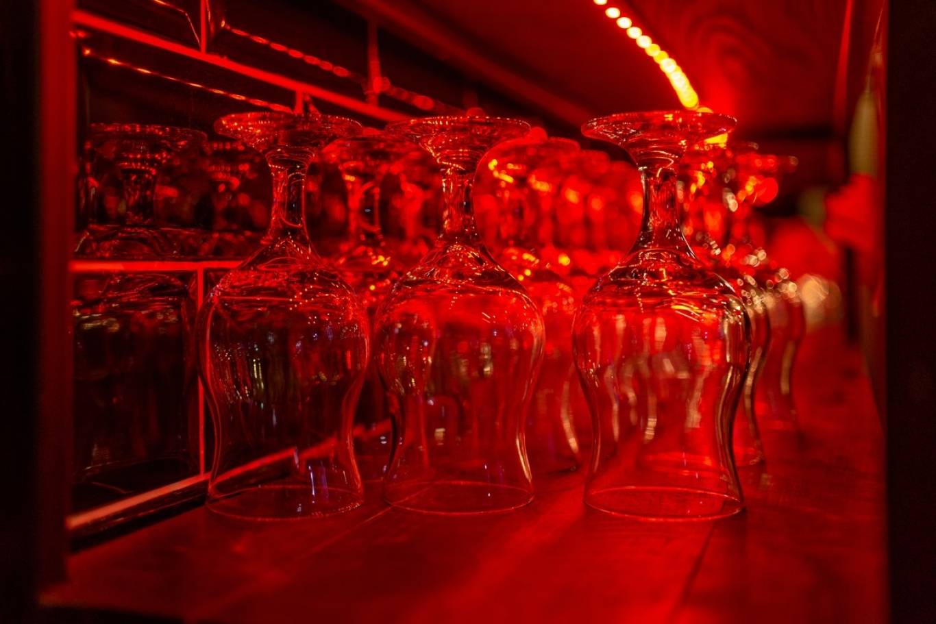 Відкривається «Білий Налив»: устриці, хот-доги і сидр по 29 гривень