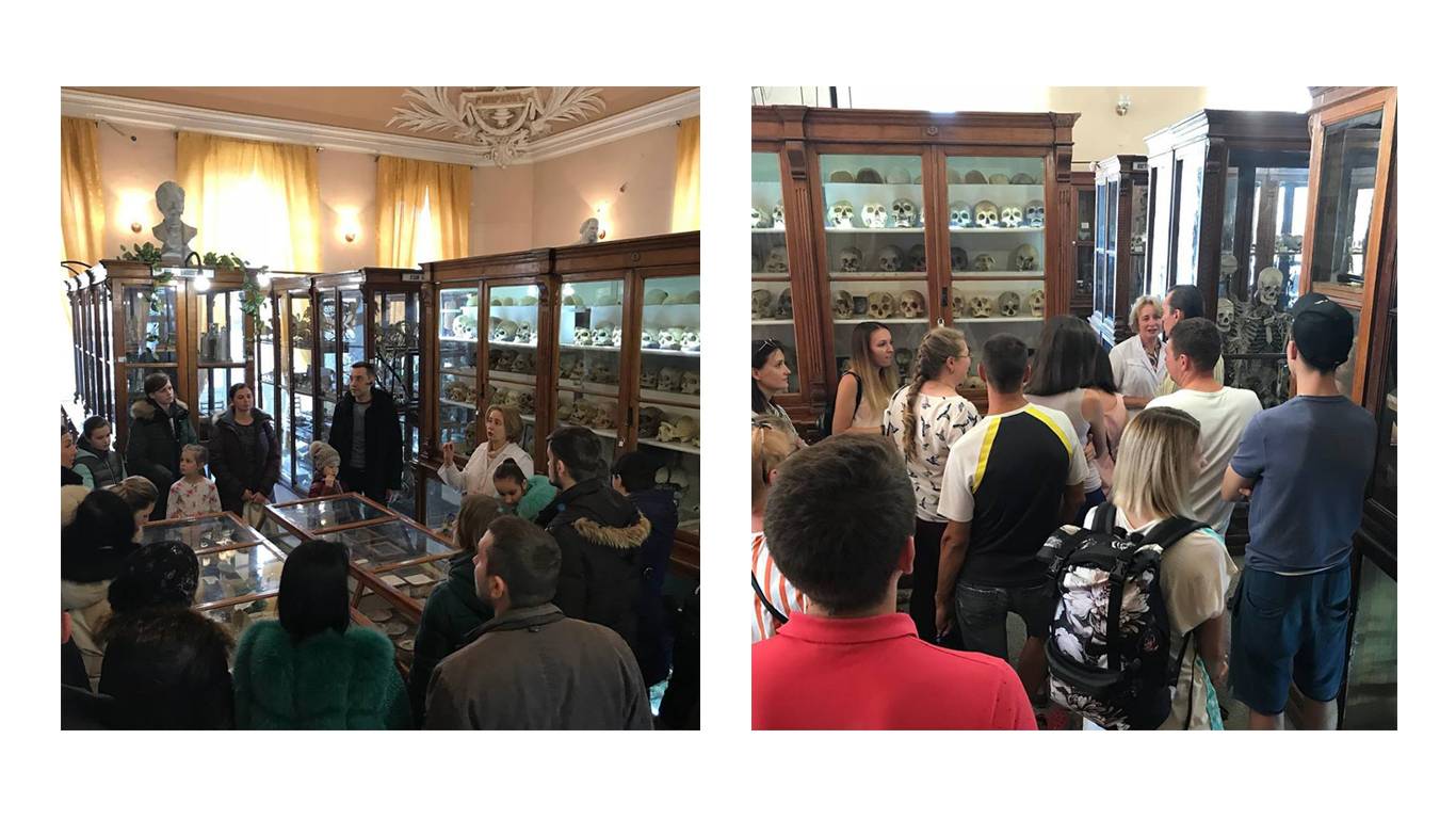 Екскурсії у музей анатомії людини