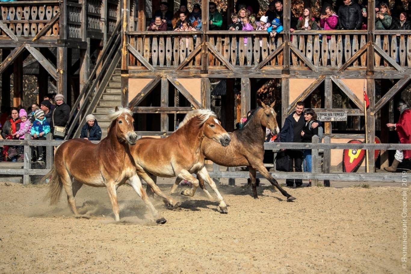 Світ коней - Шоу-програма