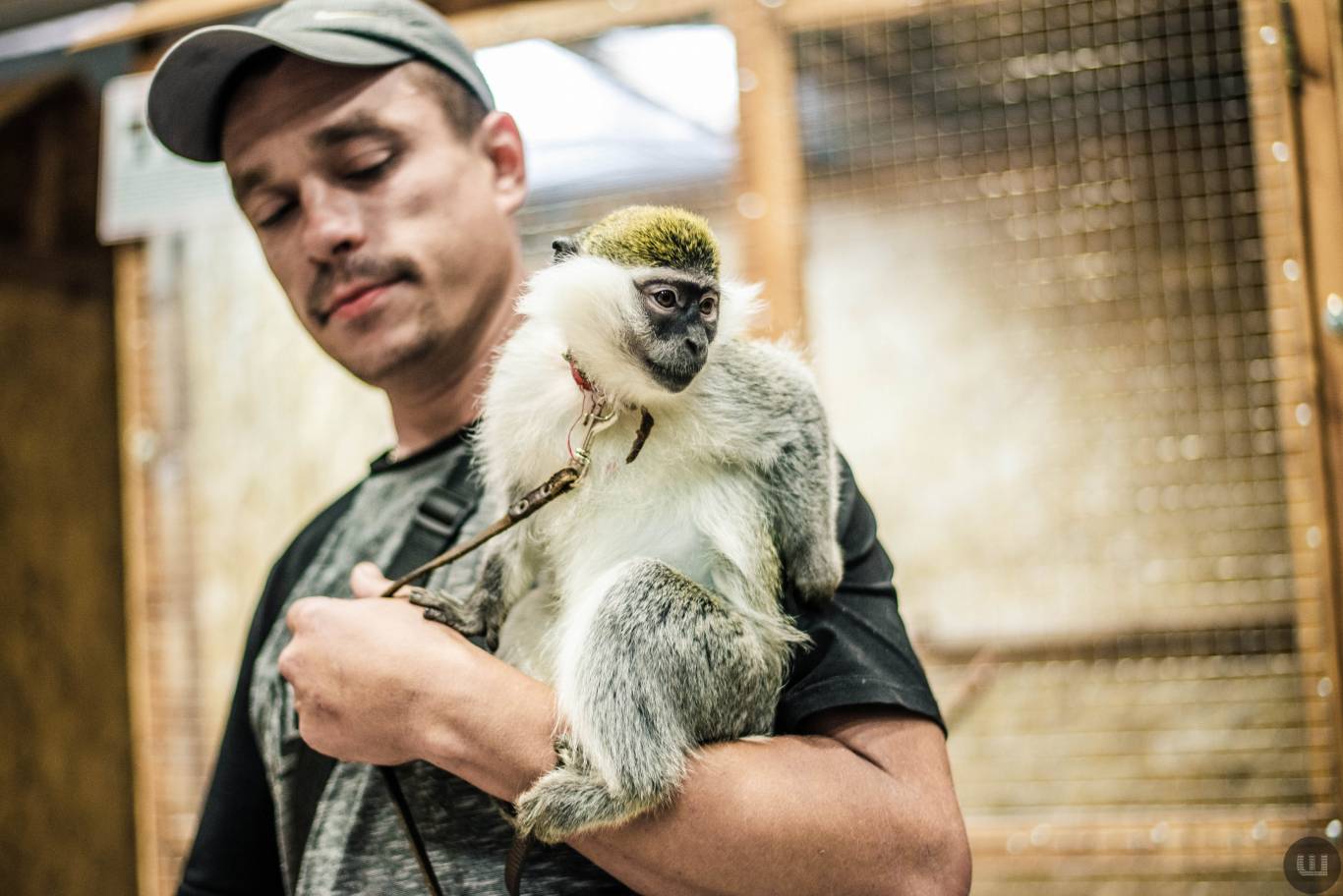 Zoo Світ контактна виставка мавпочок та їх друзів у Хмельницькому