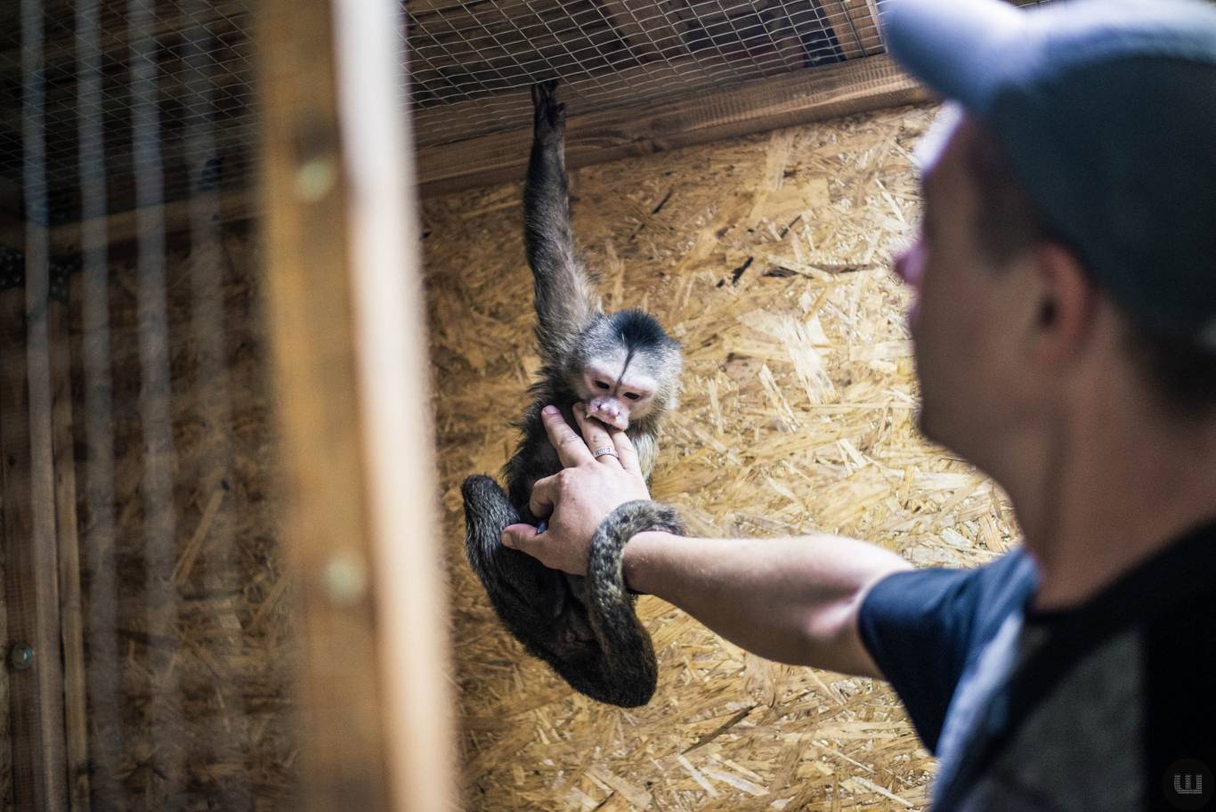 Zoo Світ контактна виставка мавпочок та їх друзів у Хмельницькому