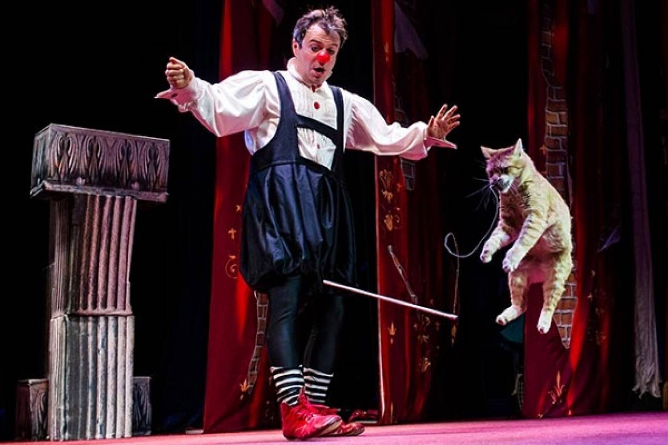 Шоу-спектакль Театр кошек Куклачёва «Я – клоун, или КОТОстройка»
