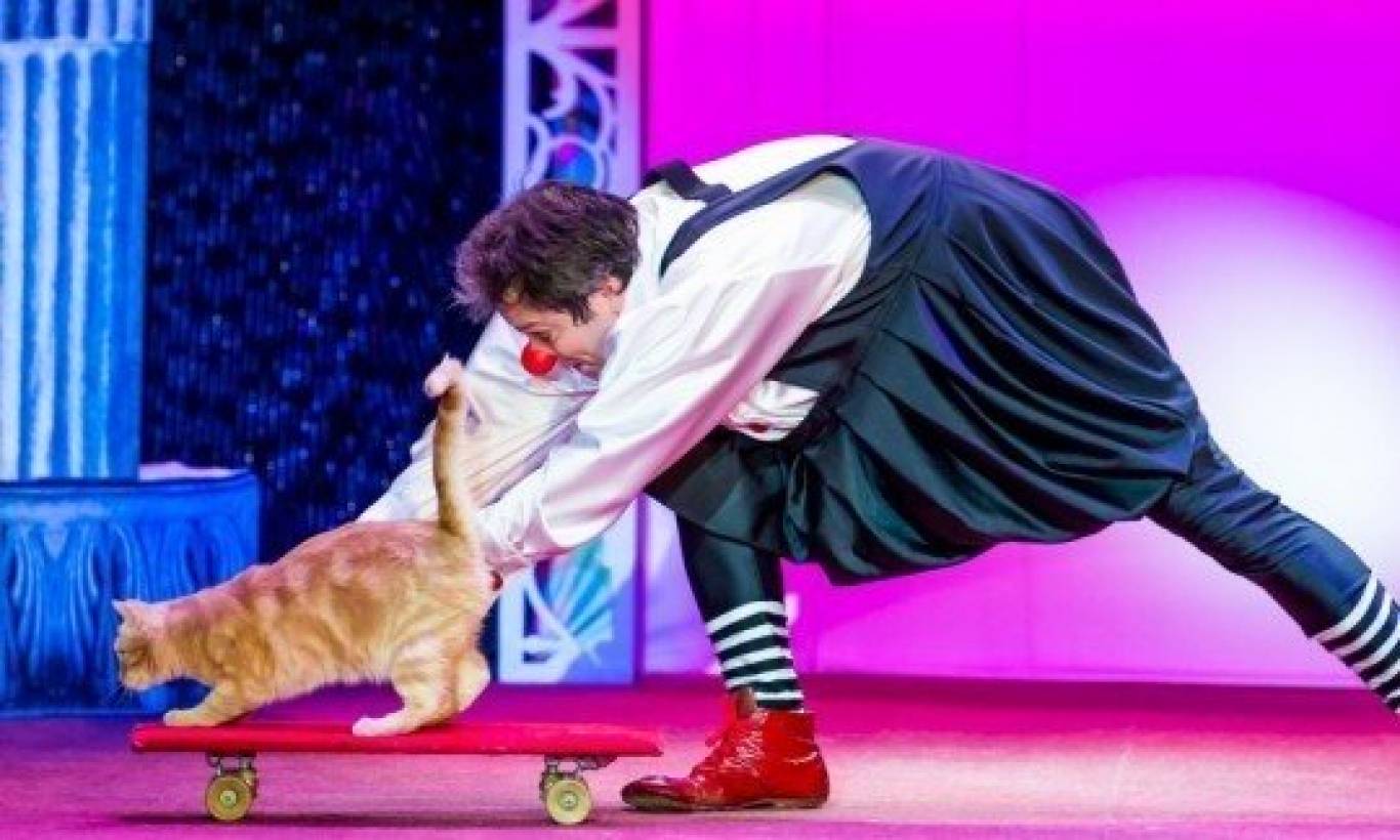 Шоу-спектакль Театр кошек Куклачёва «Я – клоун, или КОТОстройка»