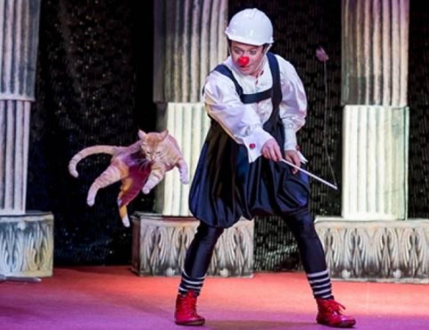 Шоу-спектакль Театр кошек Куклачёва «Я – клоун, или КОТОстройка»