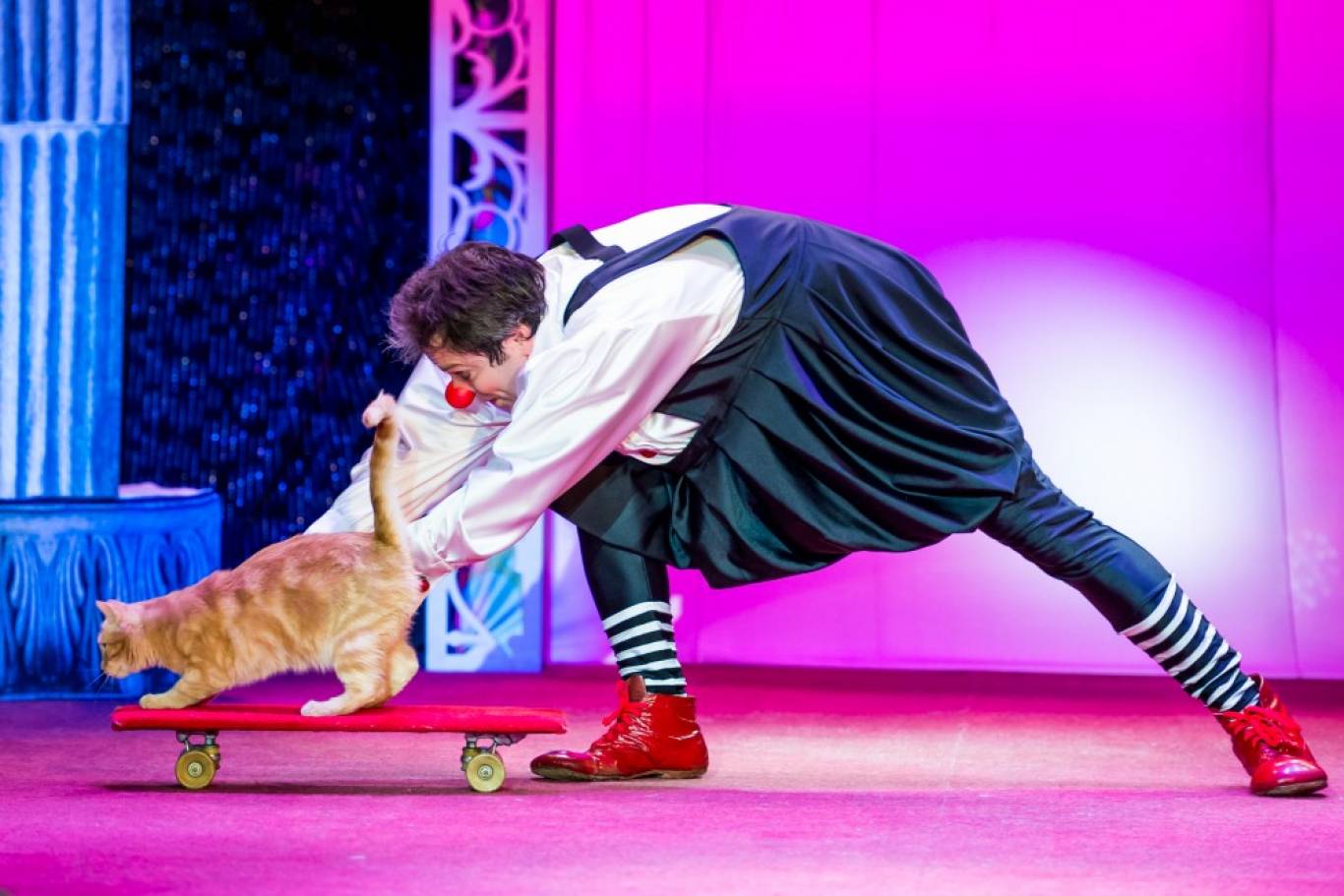 Театр котів Куклачова у Вінниці! Шоу «Дмитро Куклачов. Я-клоун! або КОТОстройка»♦Розіграш квитків