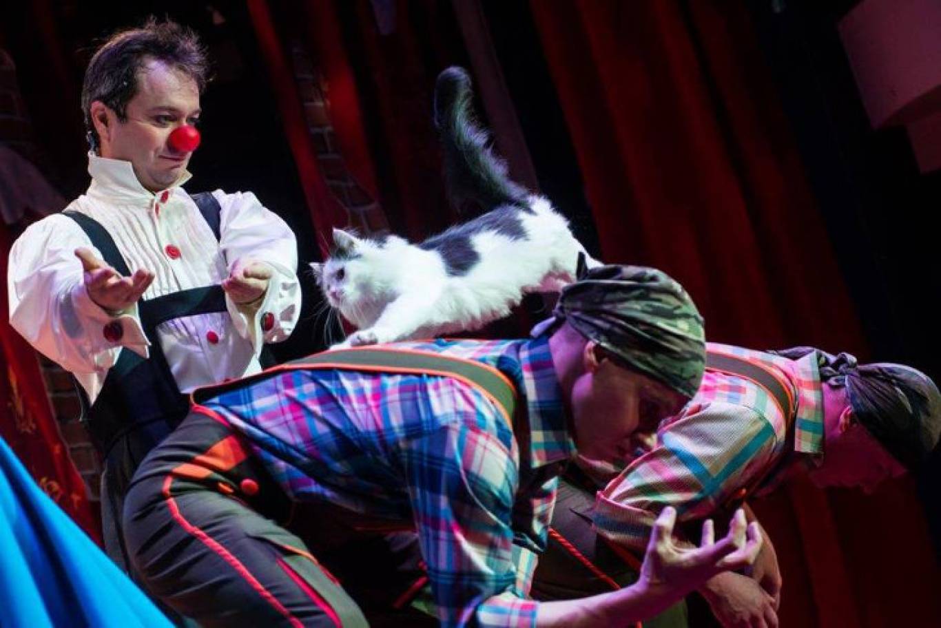 Театр котів Куклачова у Вінниці! Шоу «Дмитро Куклачов. Я-клоун! або КОТОстройка»♦Розіграш квитків