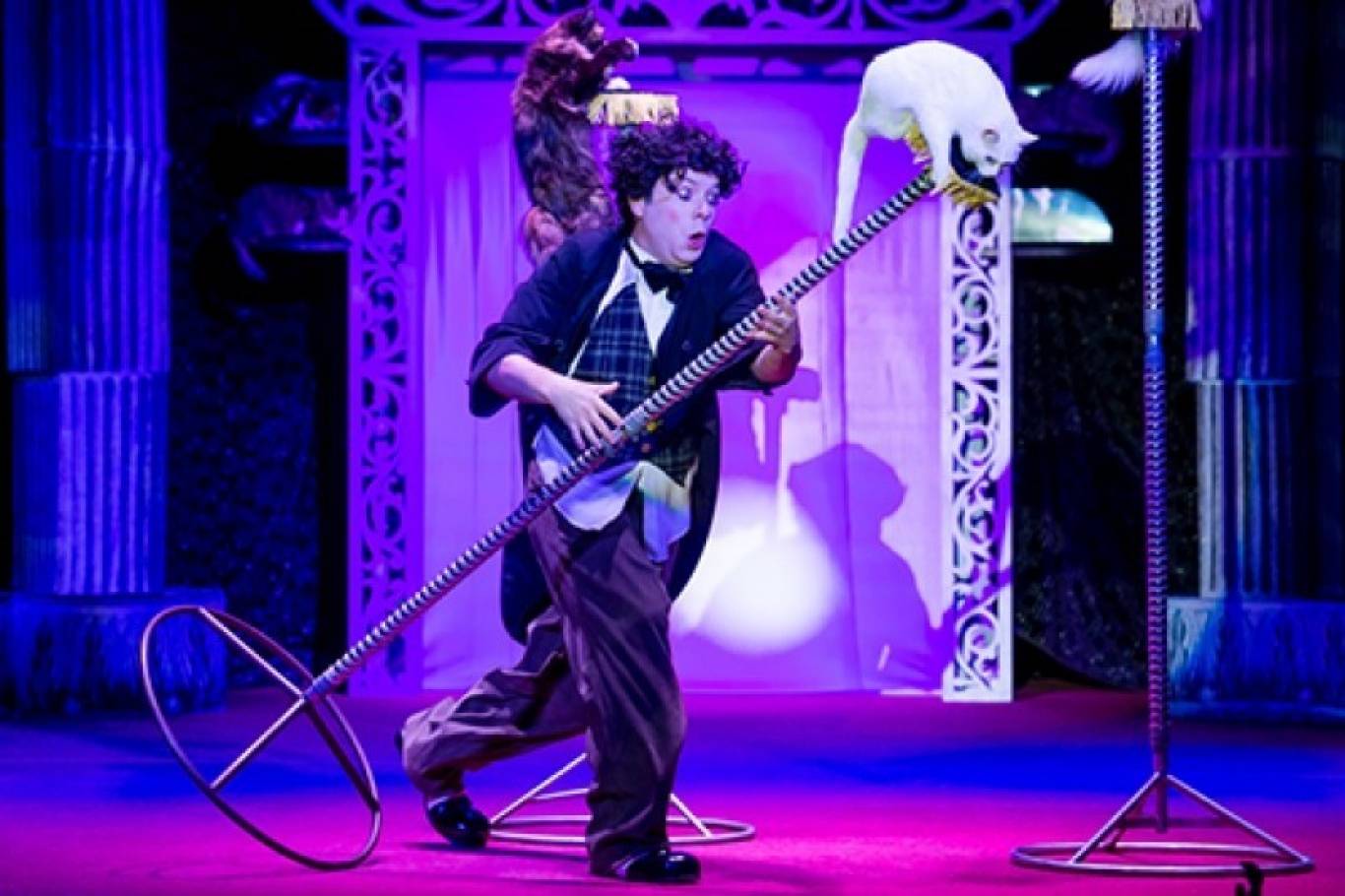 Театр котів Куклачова у Вінниці! Шоу «Дмитро Куклачов. Я-клоун! або КОТОстройка»♦Розіграш квитків