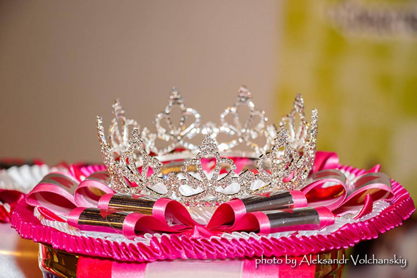 Международная выставка кошек в Киеве