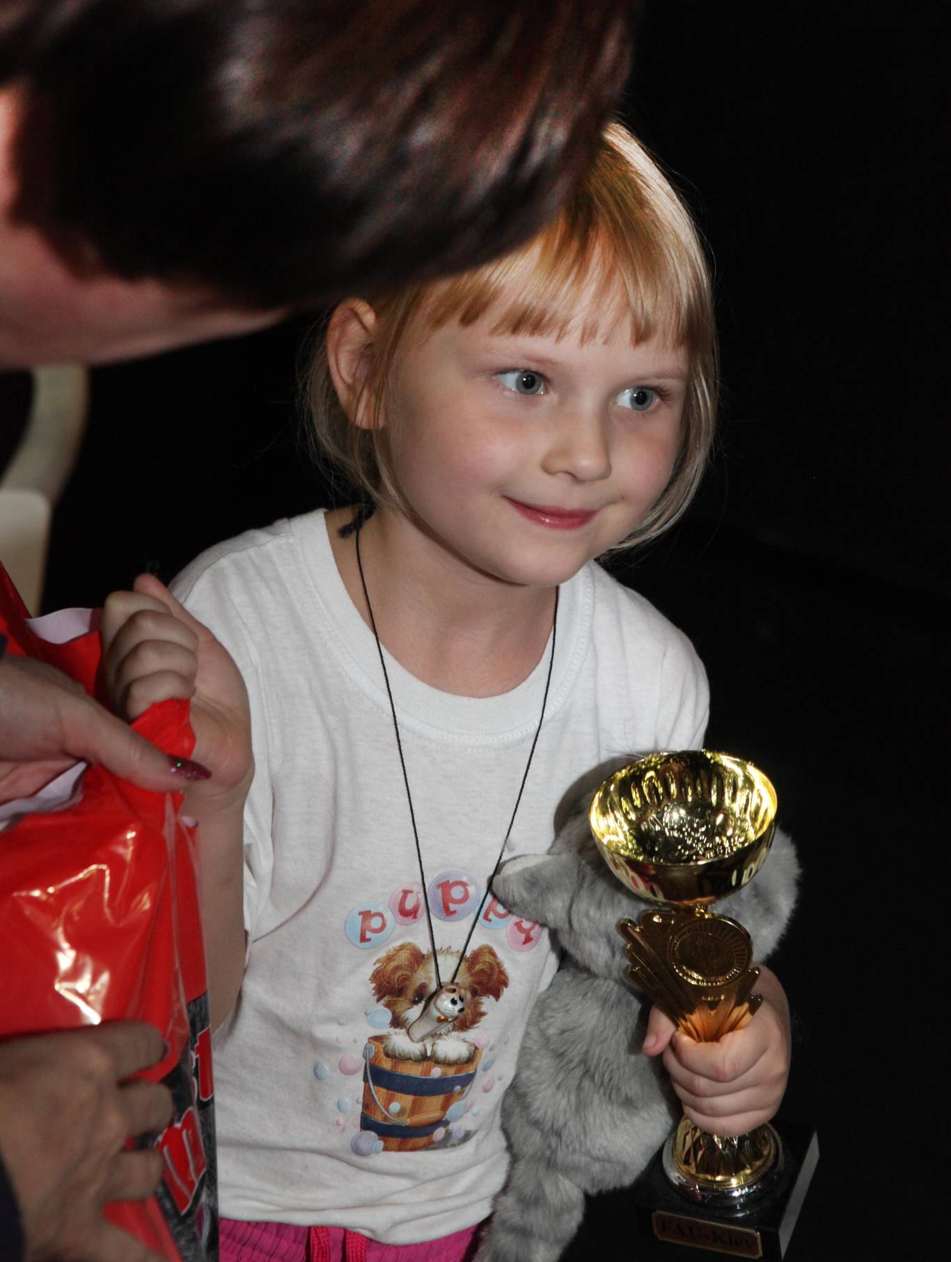 Международная выставка кошек в Киеве