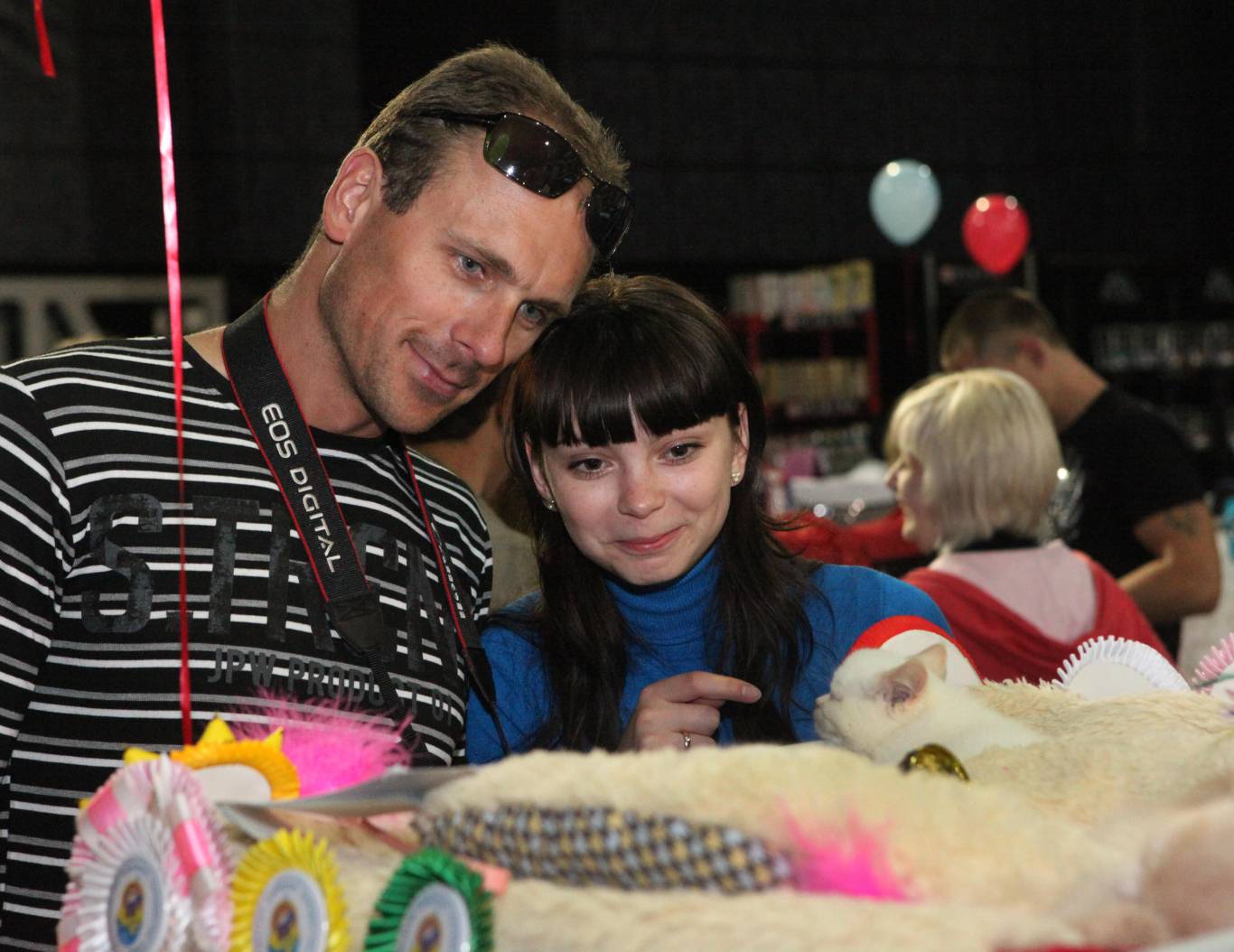 Международная выставка кошек в Киеве