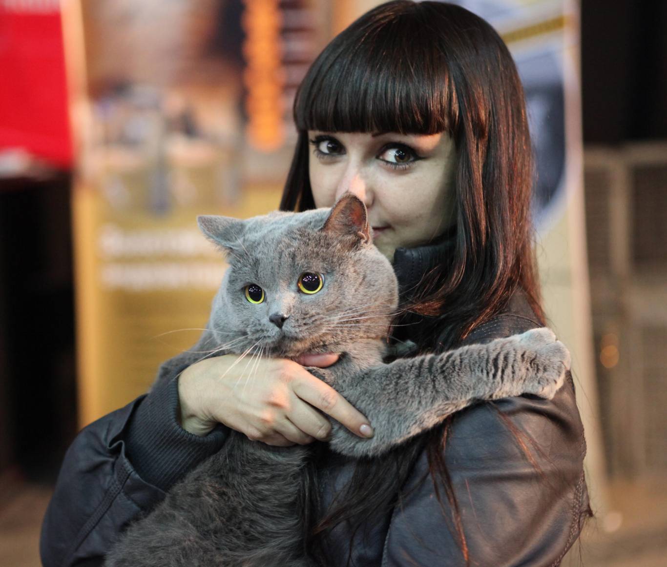 Международная выставка кошек в Киеве