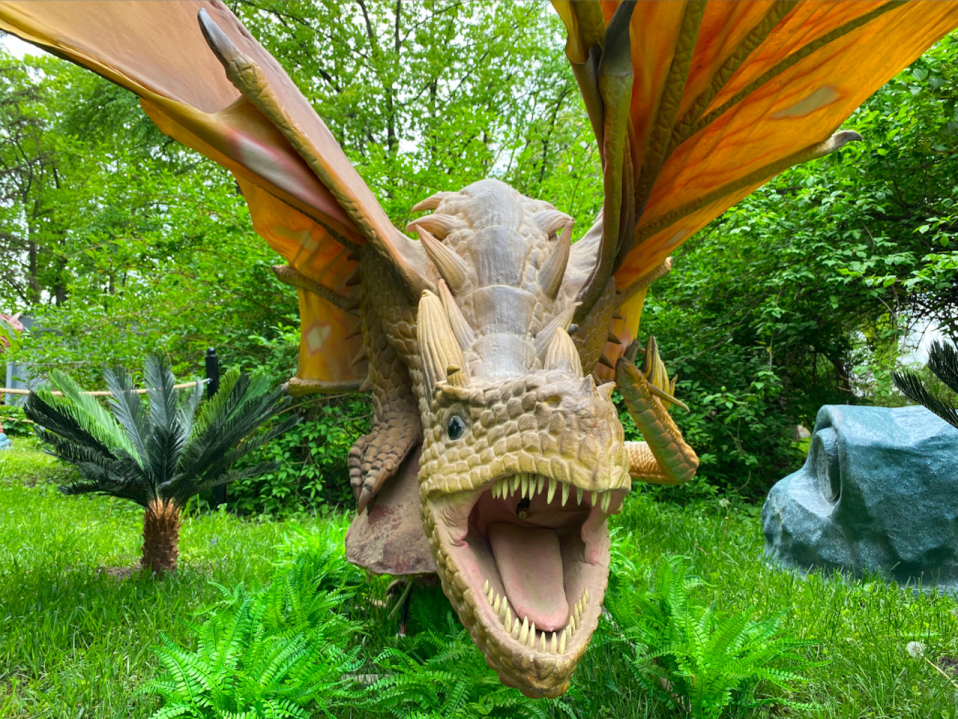 Живі  дракони і чарівні дерева - Унікальний фентезі-парк