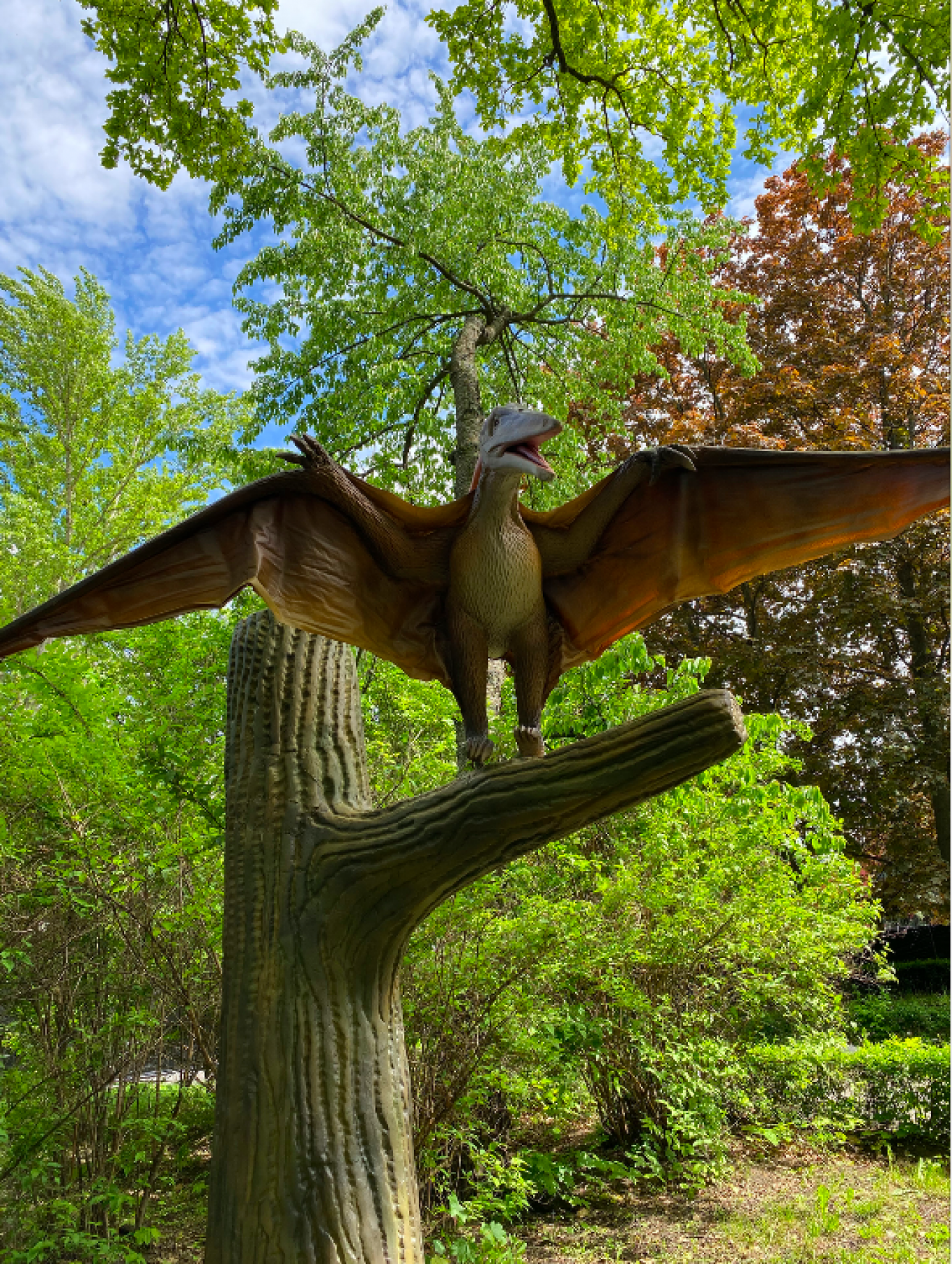 Унікальний фентезі-парк «Живих драконів і чарівних дерев» просто неба на ВДНГ