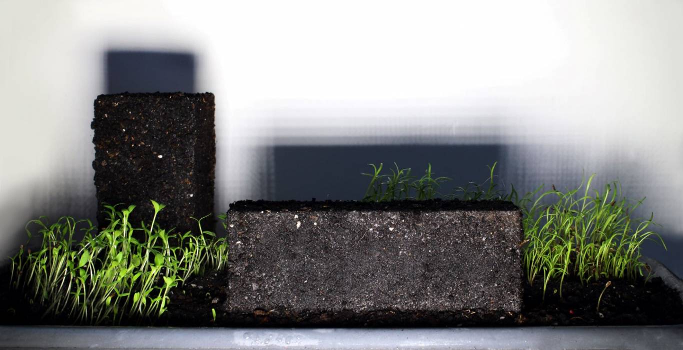 Спостереження 2020 - Пост-карантинна виставка