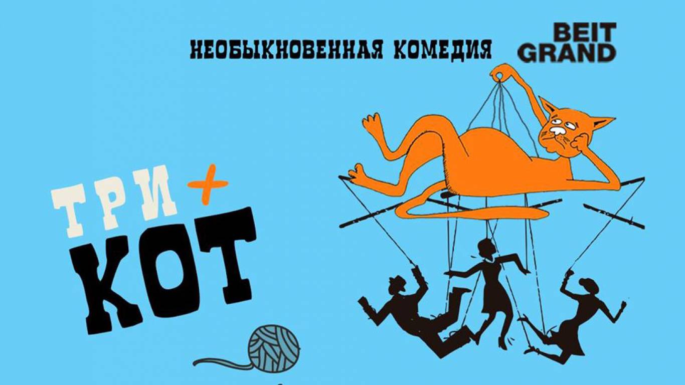 Три плюс кот
