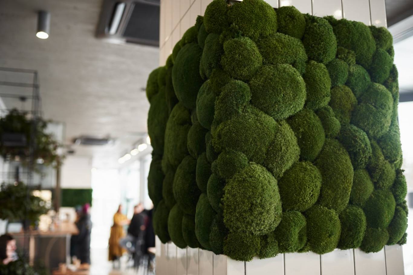 Відпочинок у новому закладі Kebab Story