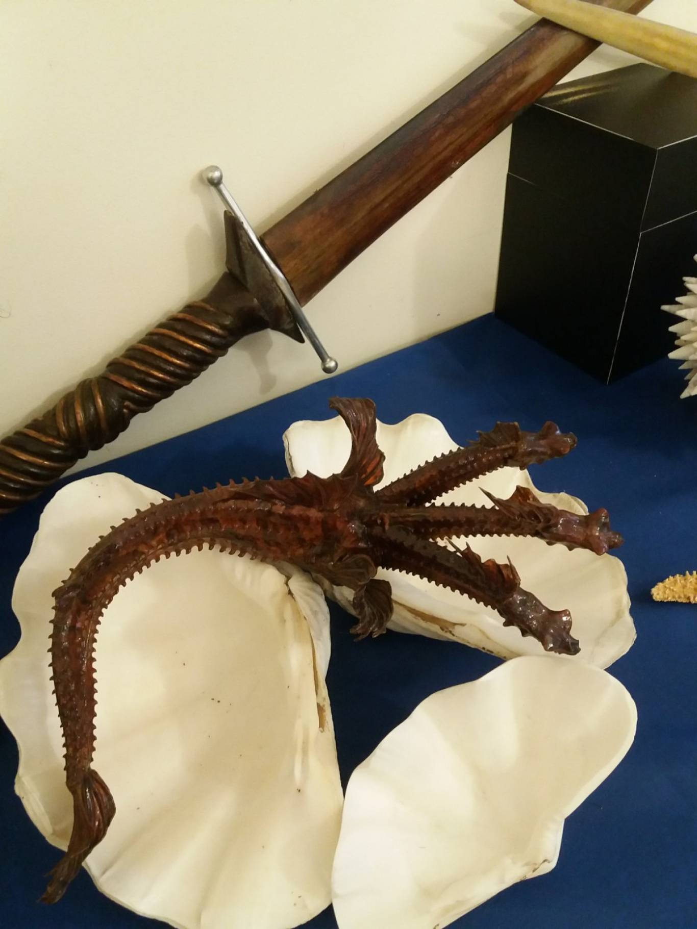 Виставка "Морські дива" у Кропивницькому