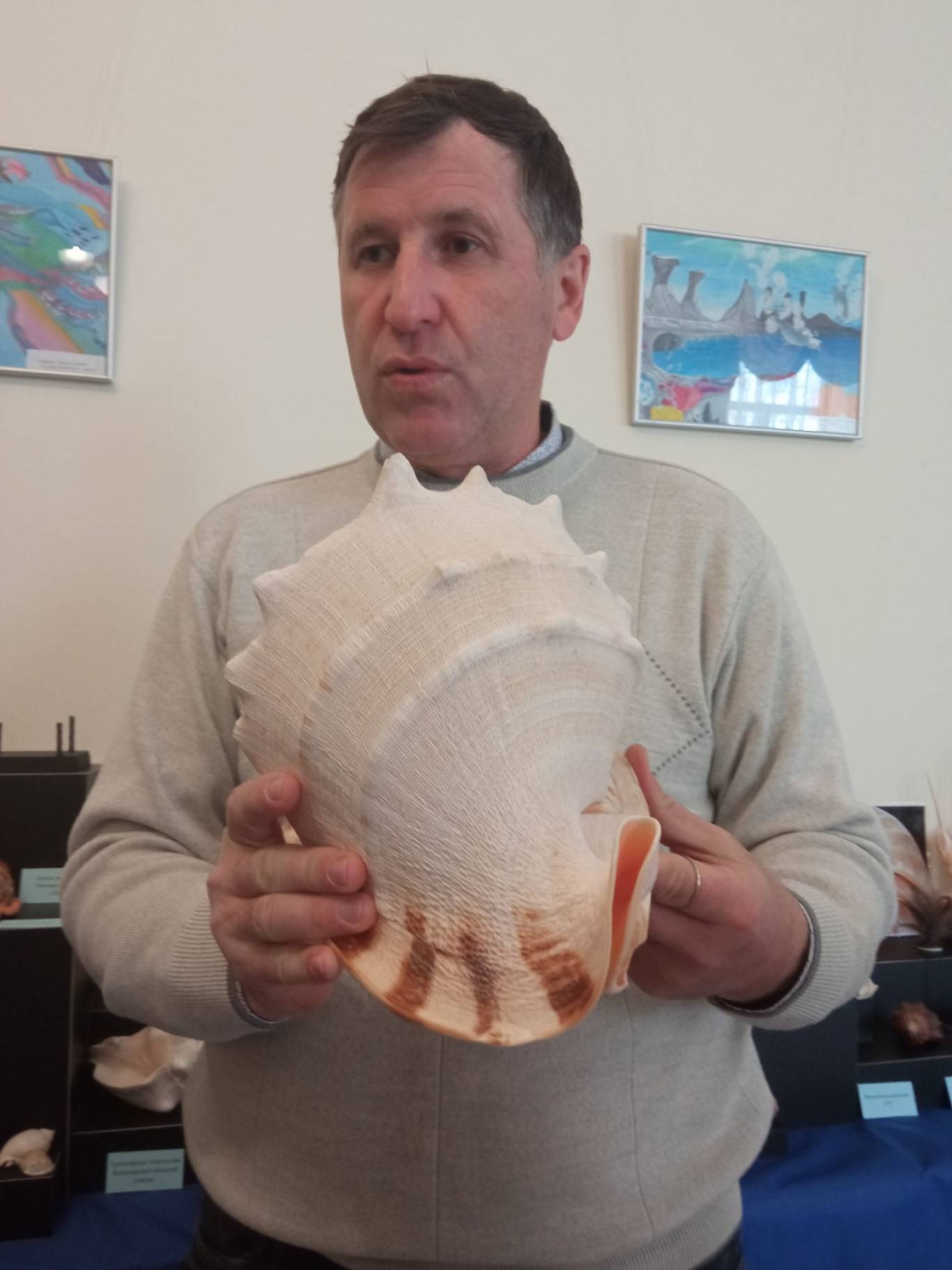 Виставка "Морські дива" у Кропивницькому