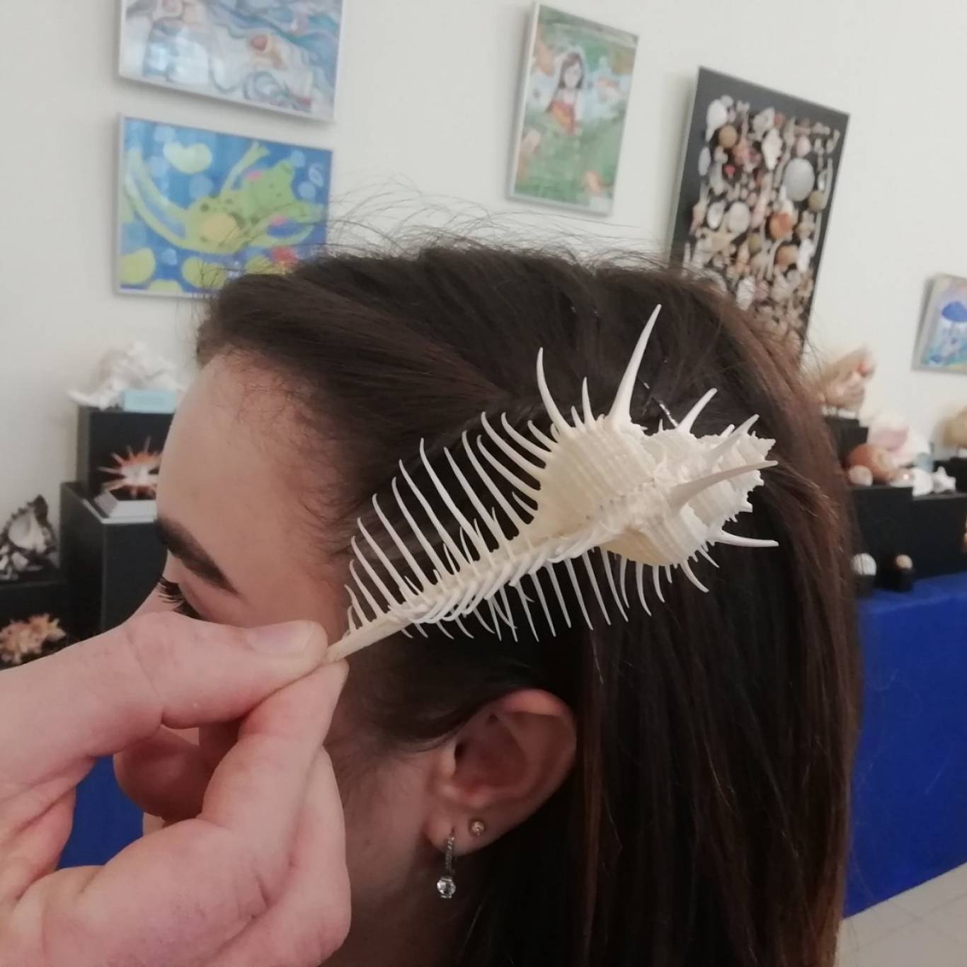 Виставка "Морські дива" у Кропивницькому