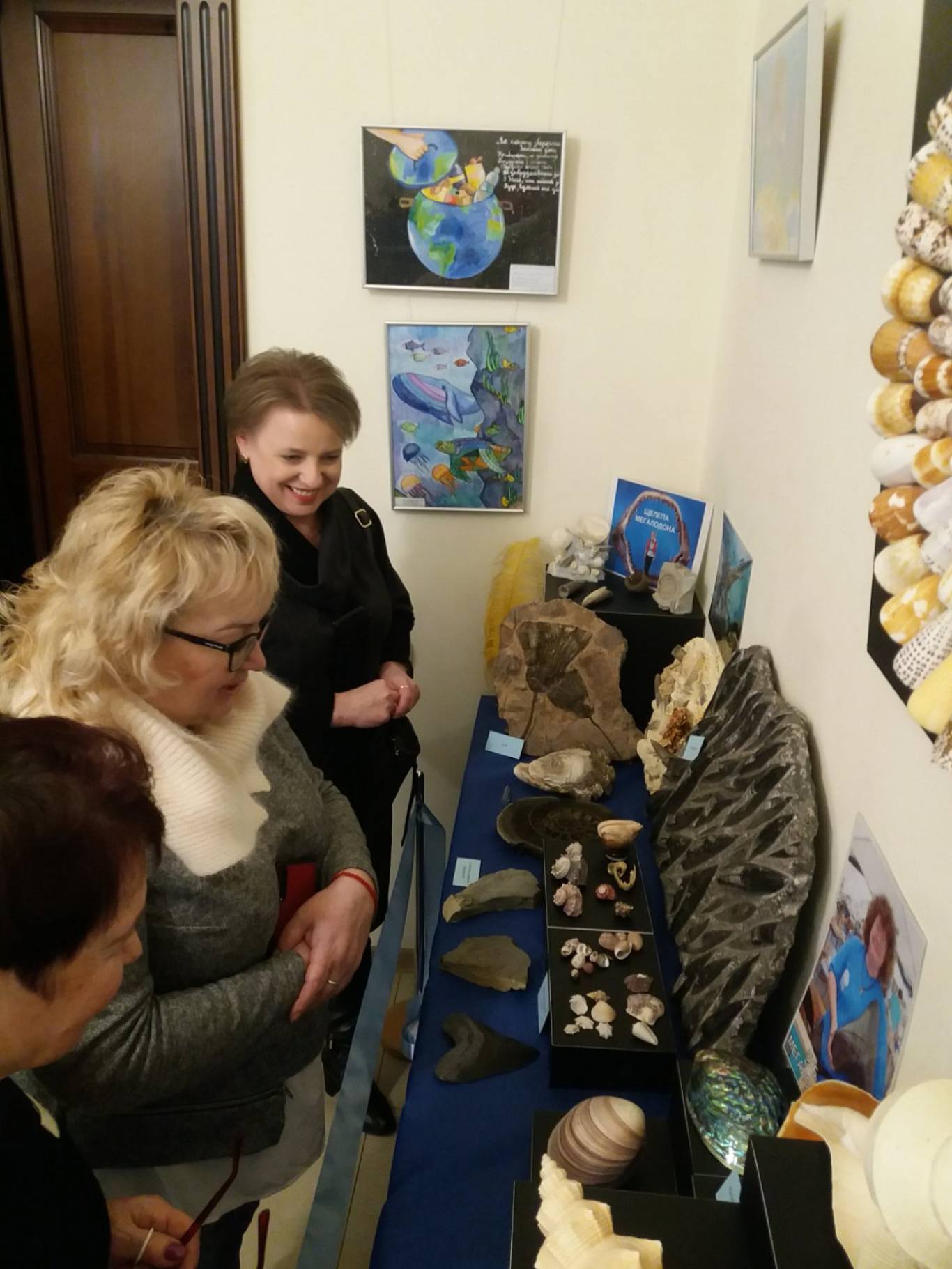 Виставка "Морські дива" у Кропивницькому