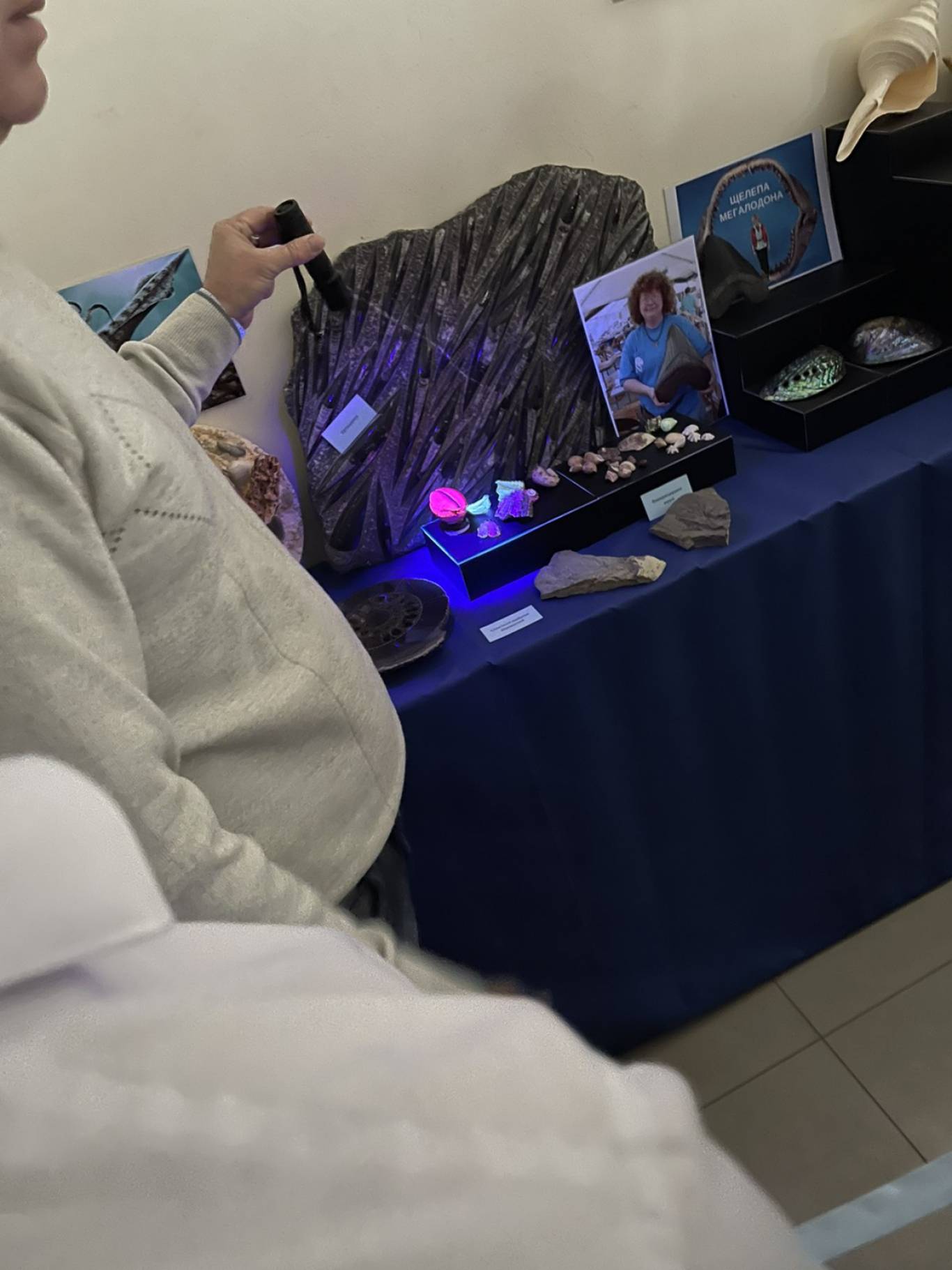 Виставка "Морські дива" у Кропивницькому