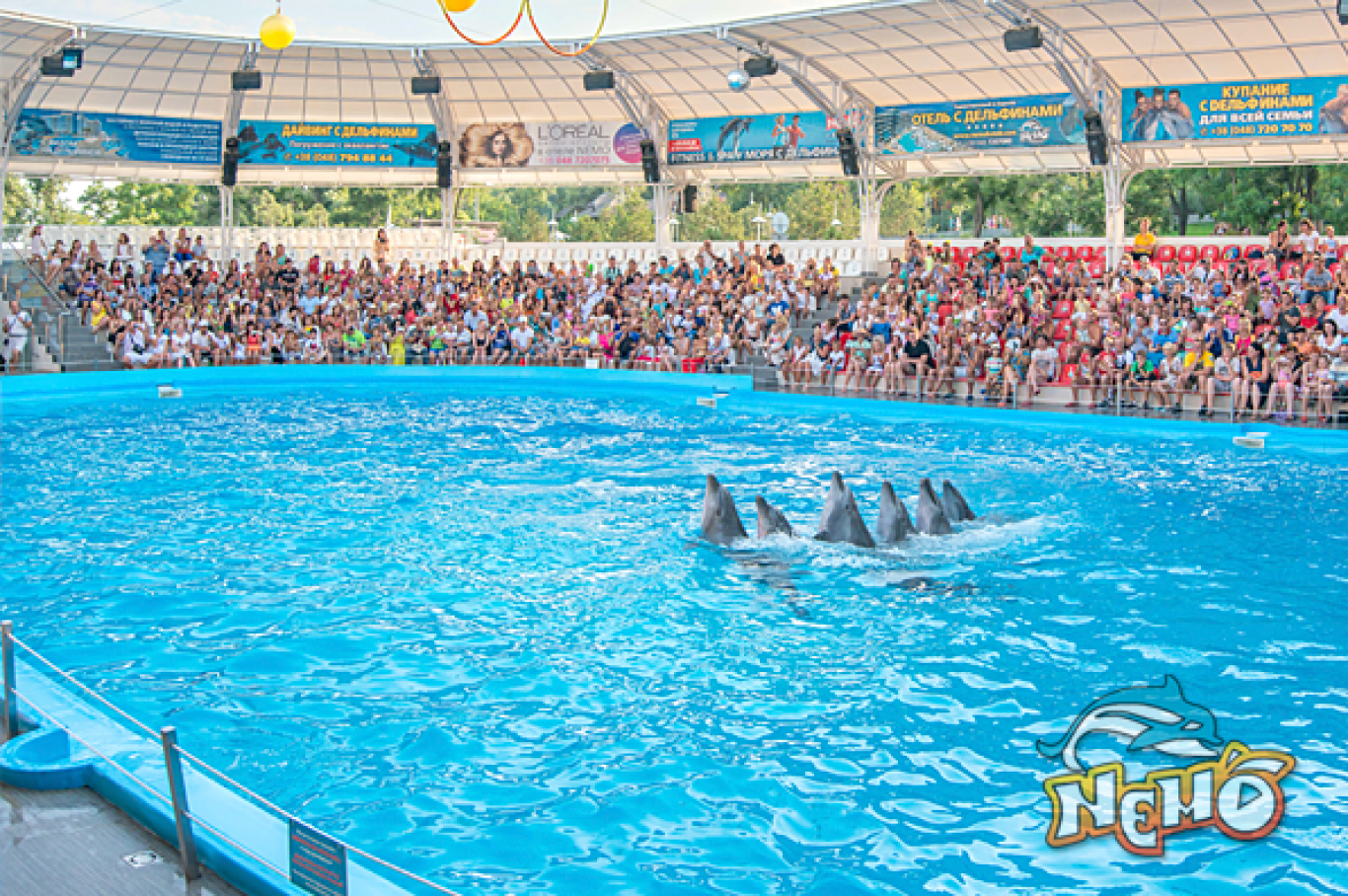 Дельфінарій Немо