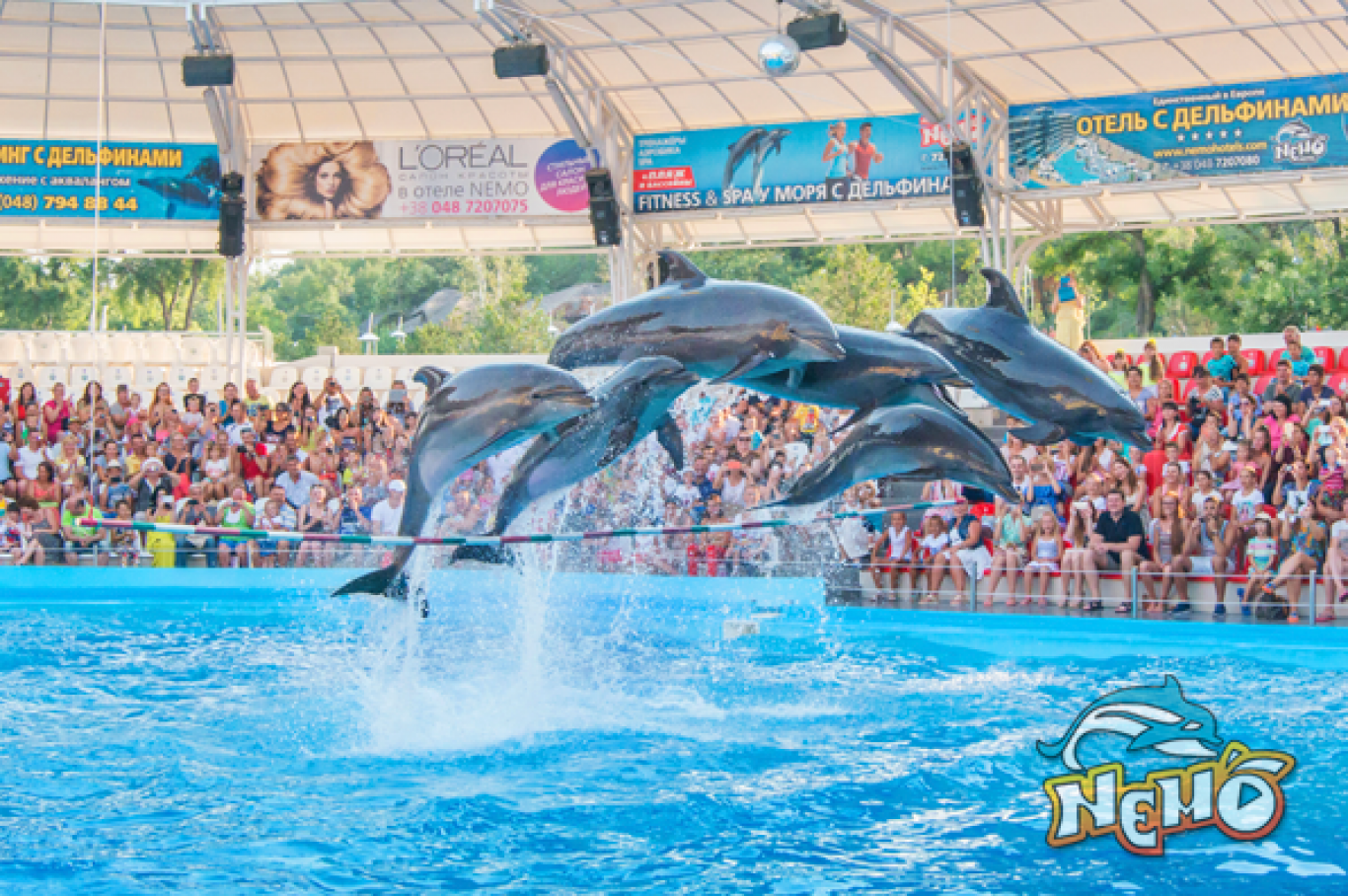 Дельфінарій Немо