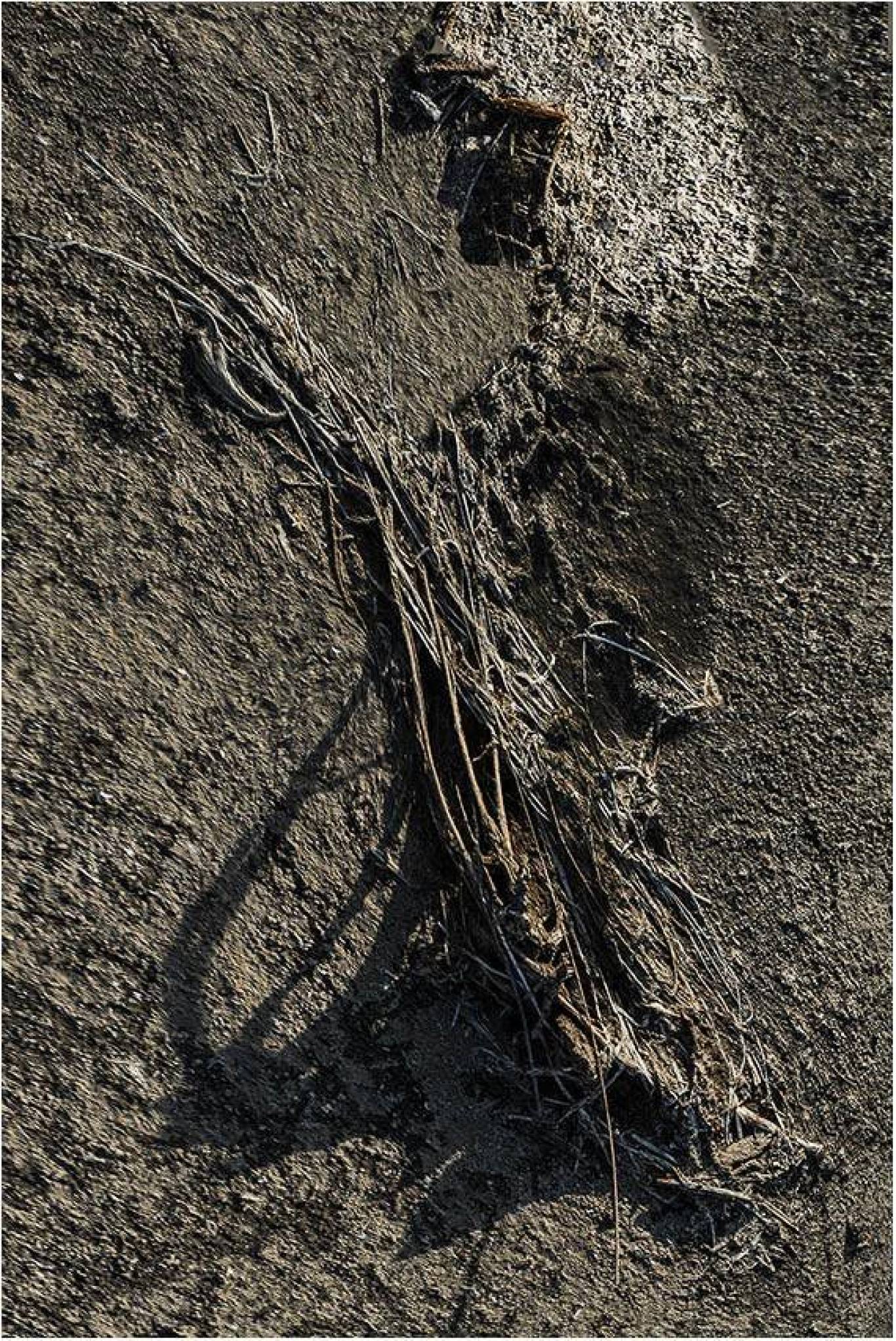 Таємниці старих цеглин - Фотовиставка Володимира Кукоренчука