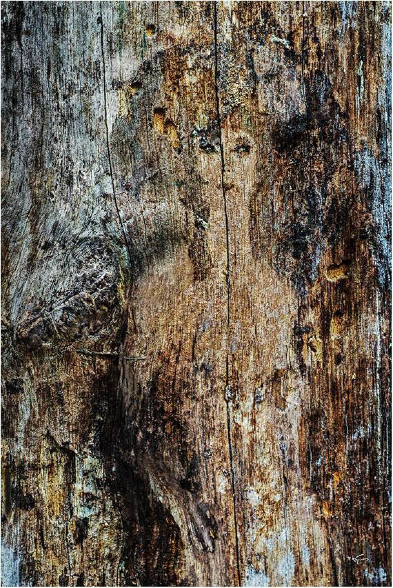 Таємниці старих цеглин - Фотовиставка Володимира Кукоренчука