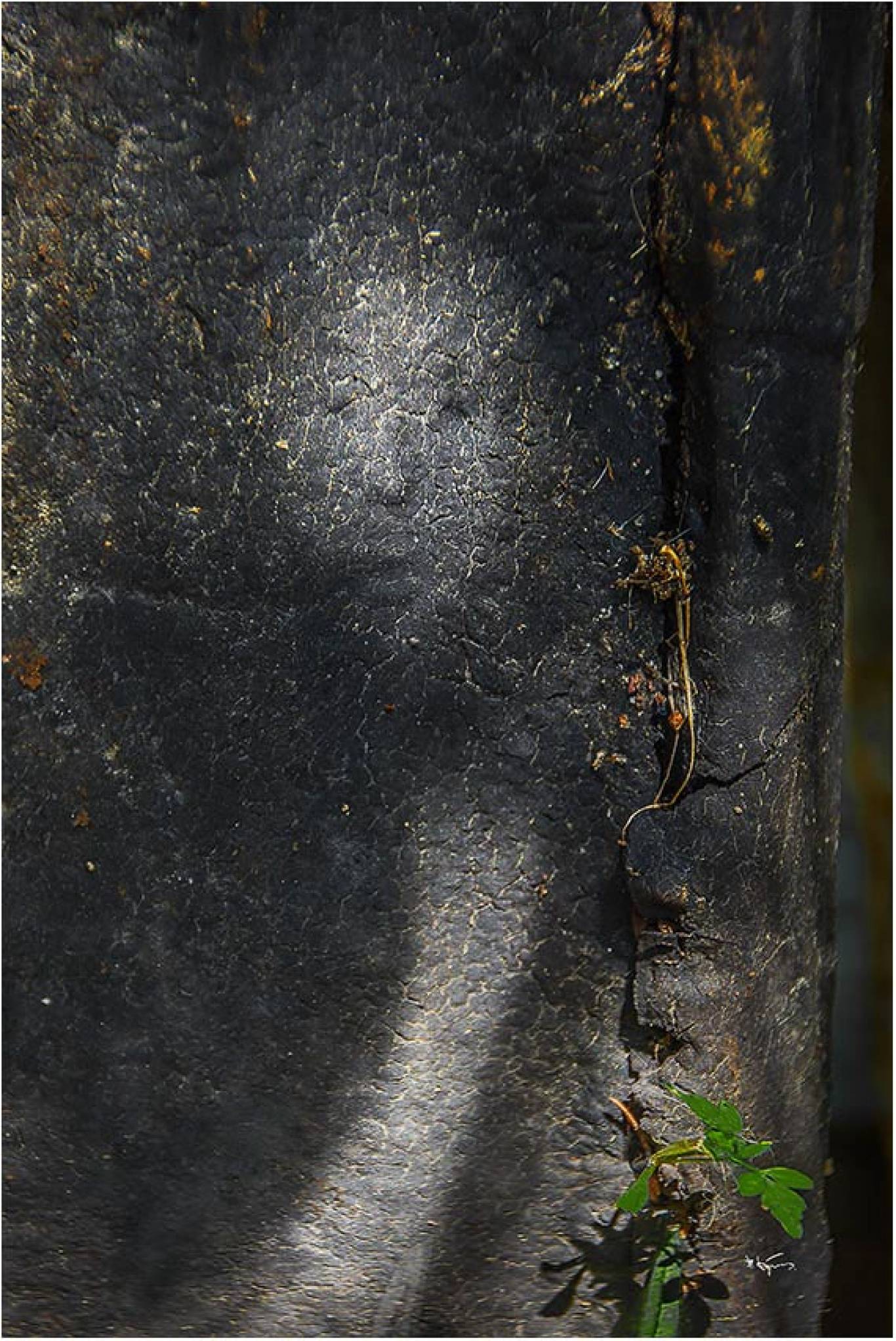 Таємниці старих цеглин - Фотовиставка Володимира Кукоренчука