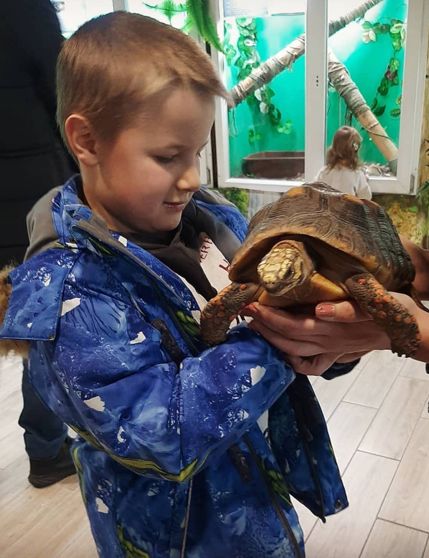 Змеиная ферма