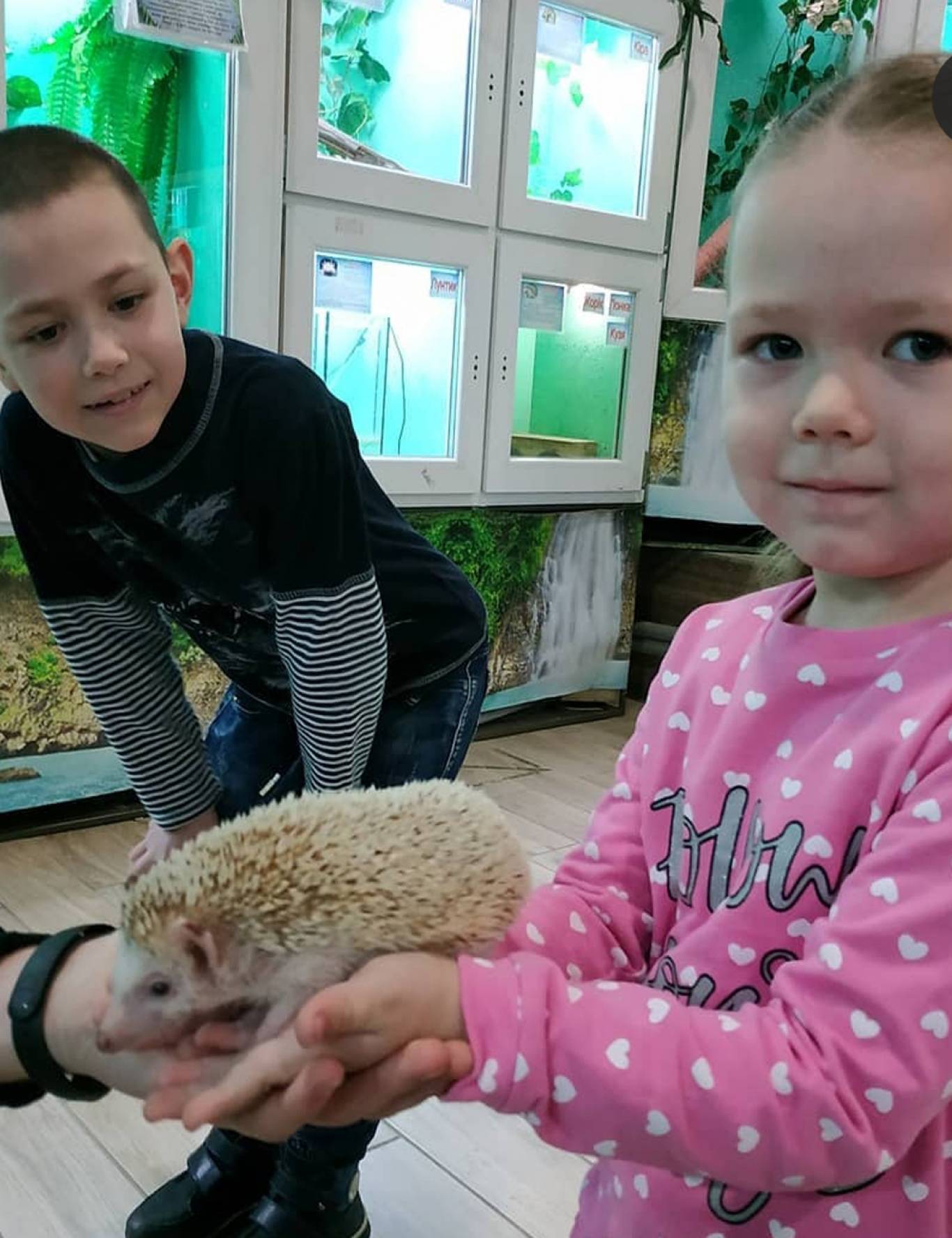 Змеиная ферма