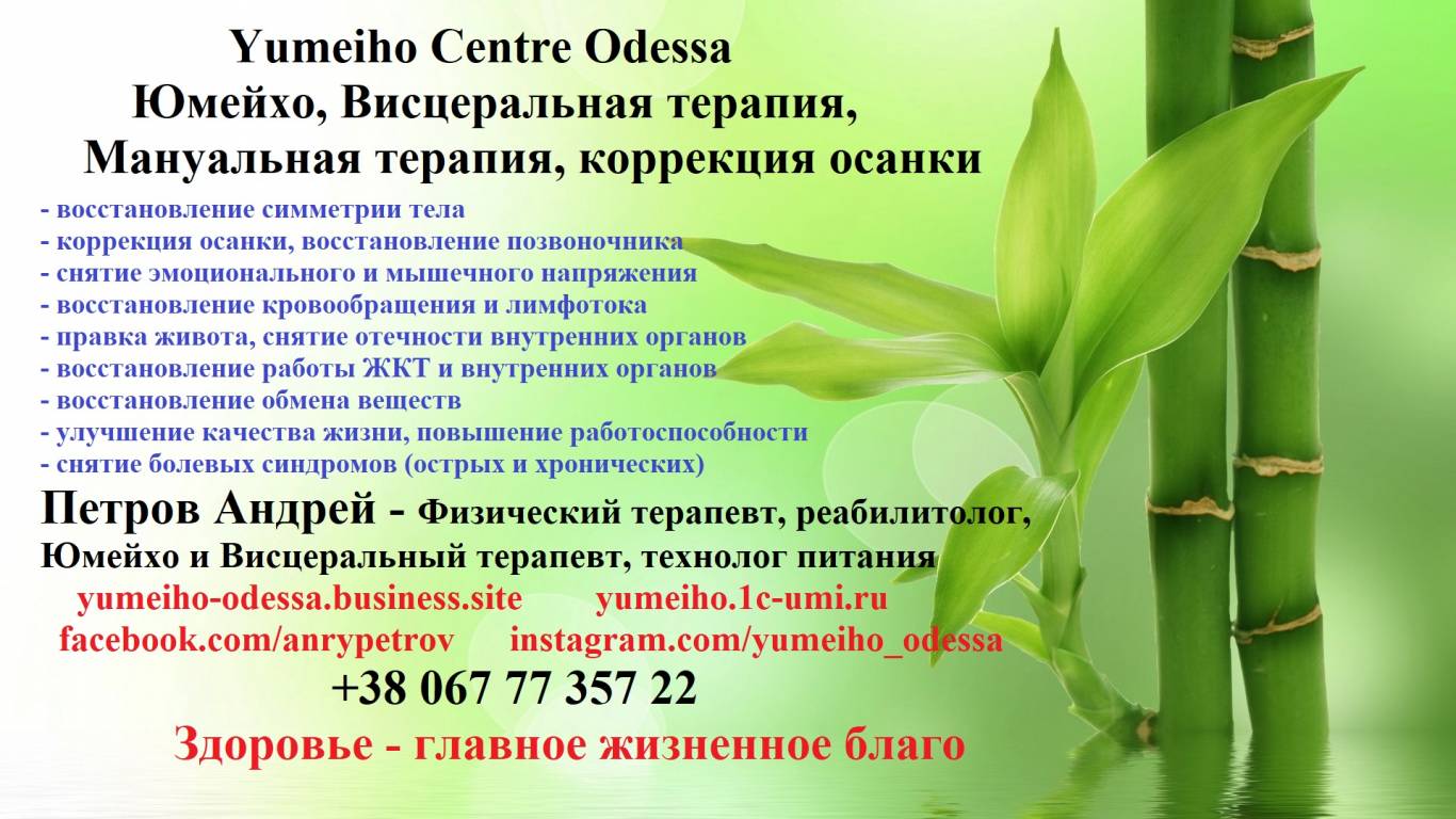 Обучение Юмейхо-терапии