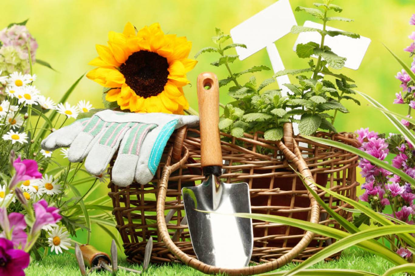 Зелений ярмарок у Палаці Спорту