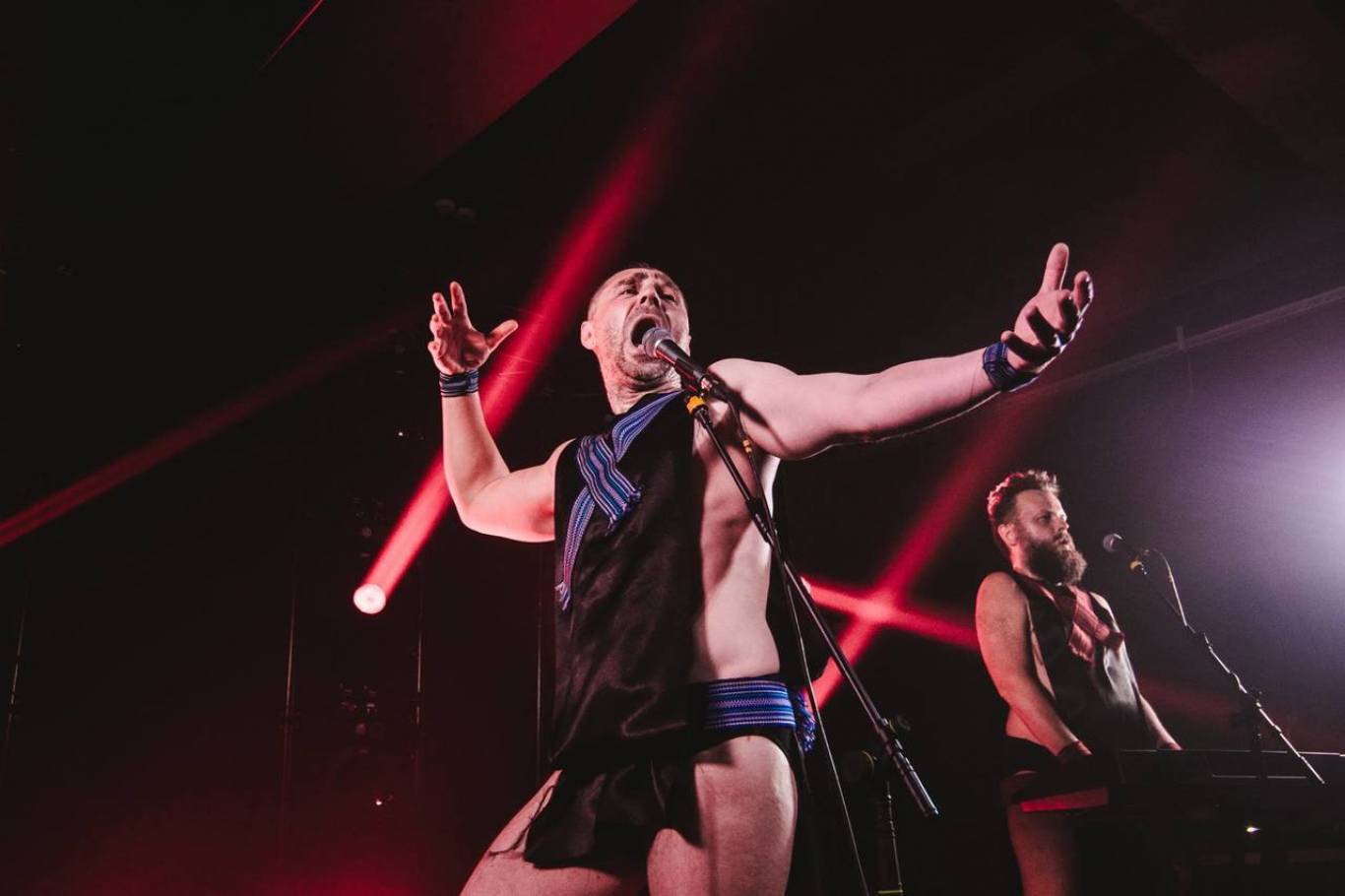 Хамерман Знищує Віруси