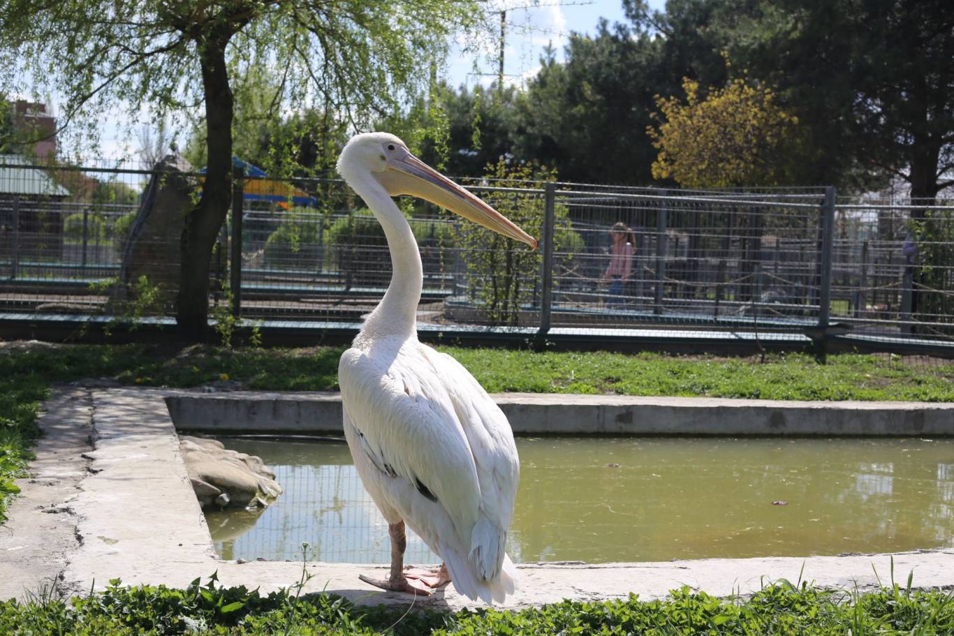 Цікаве дозвілля у Подільському зоопарку