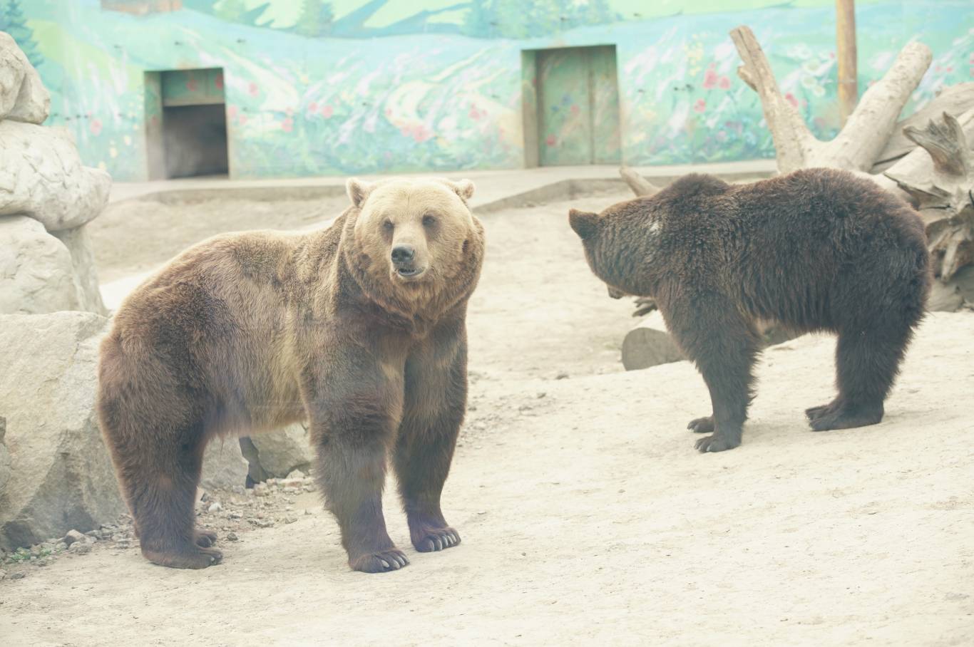 Цікаве дозвілля у Подільському зоопарку