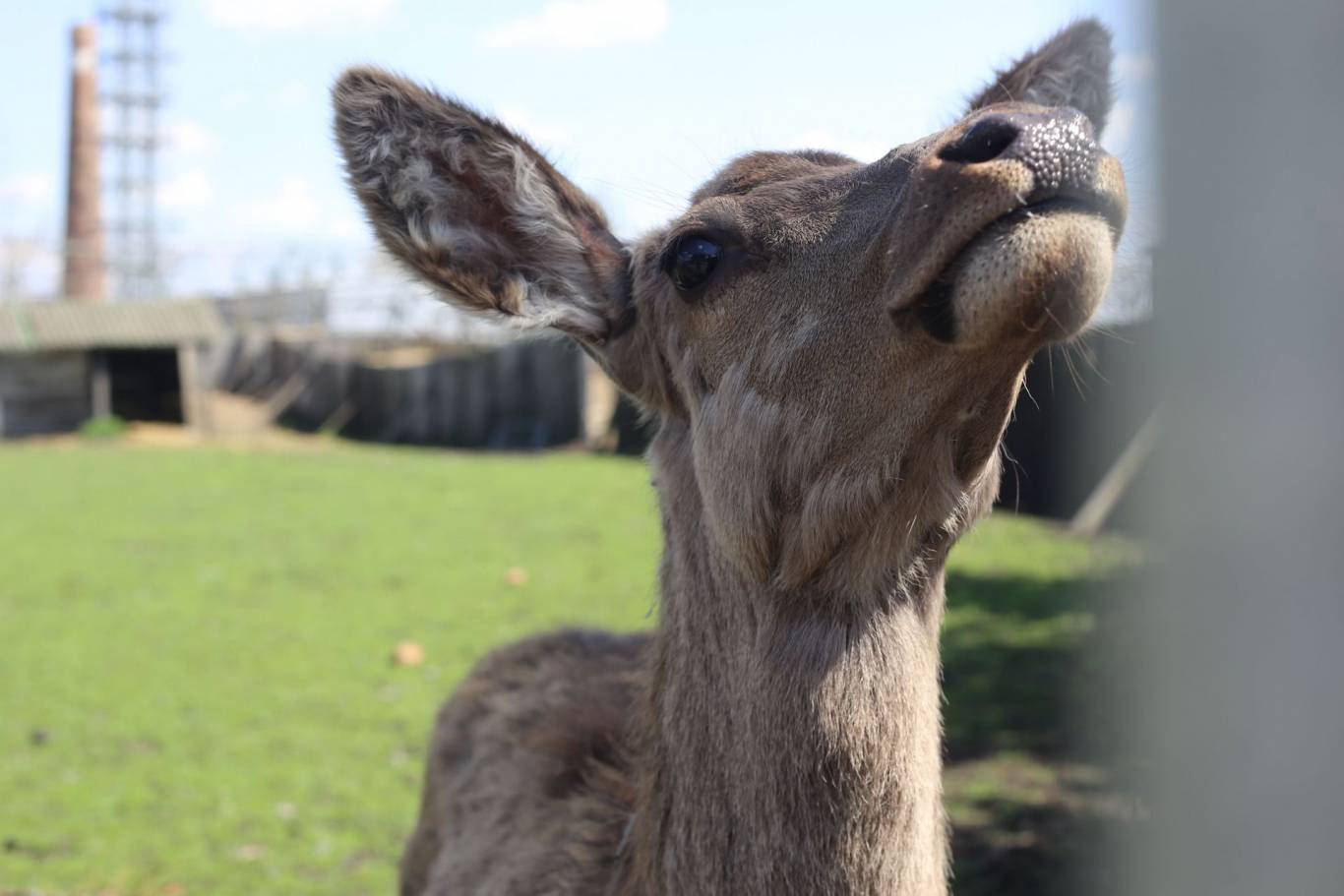 Цікаве дозвілля у Подільському зоопарку