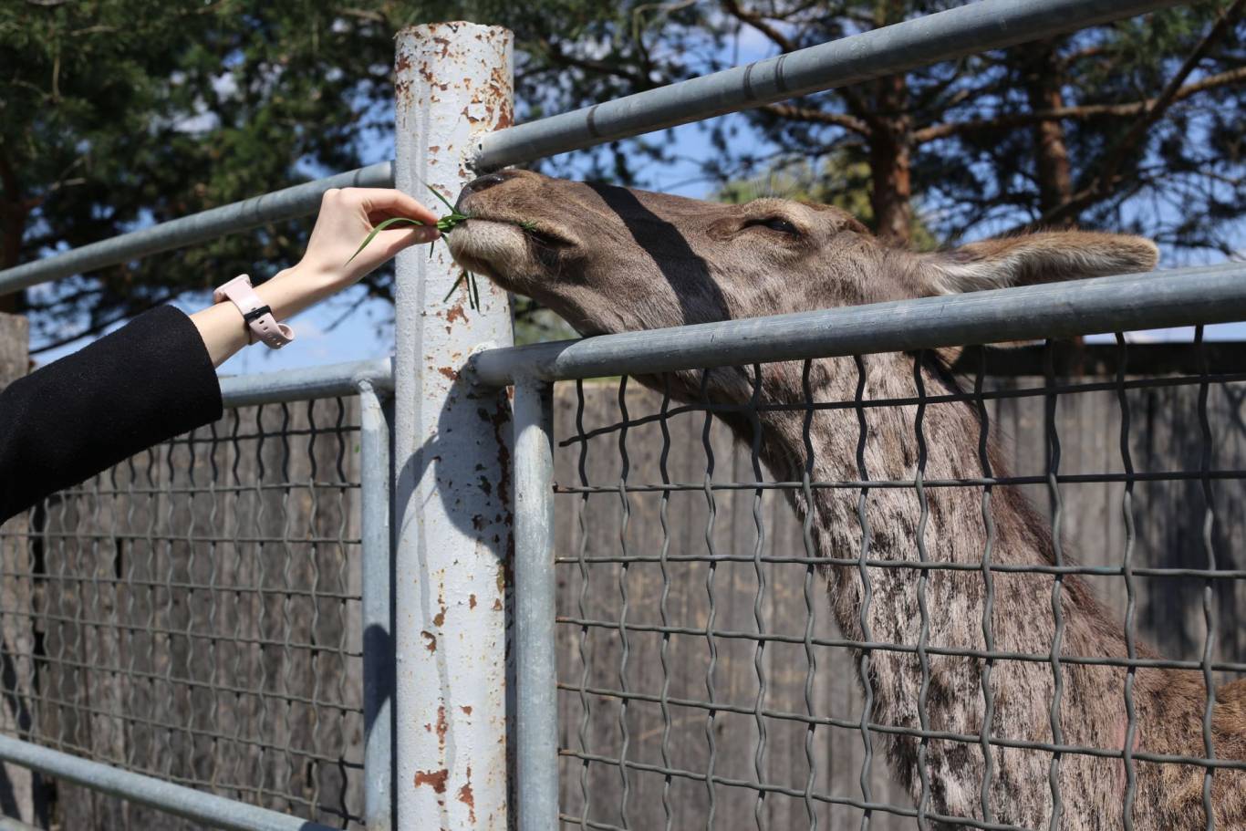 Цікаве дозвілля у Подільському зоопарку